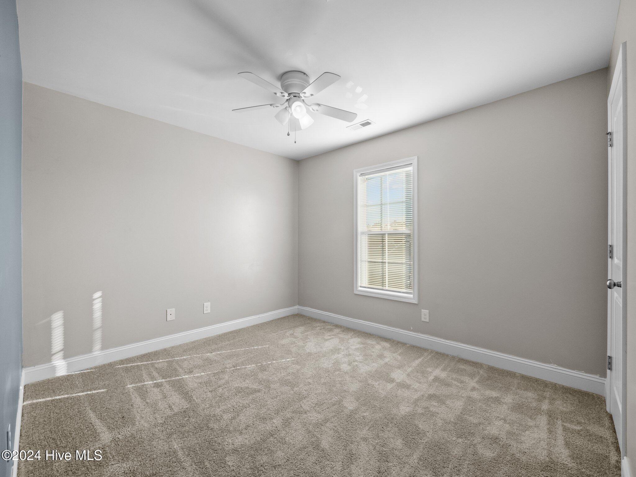 100567812 | Photo 22