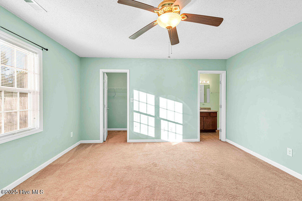 100546156 | Photo 19