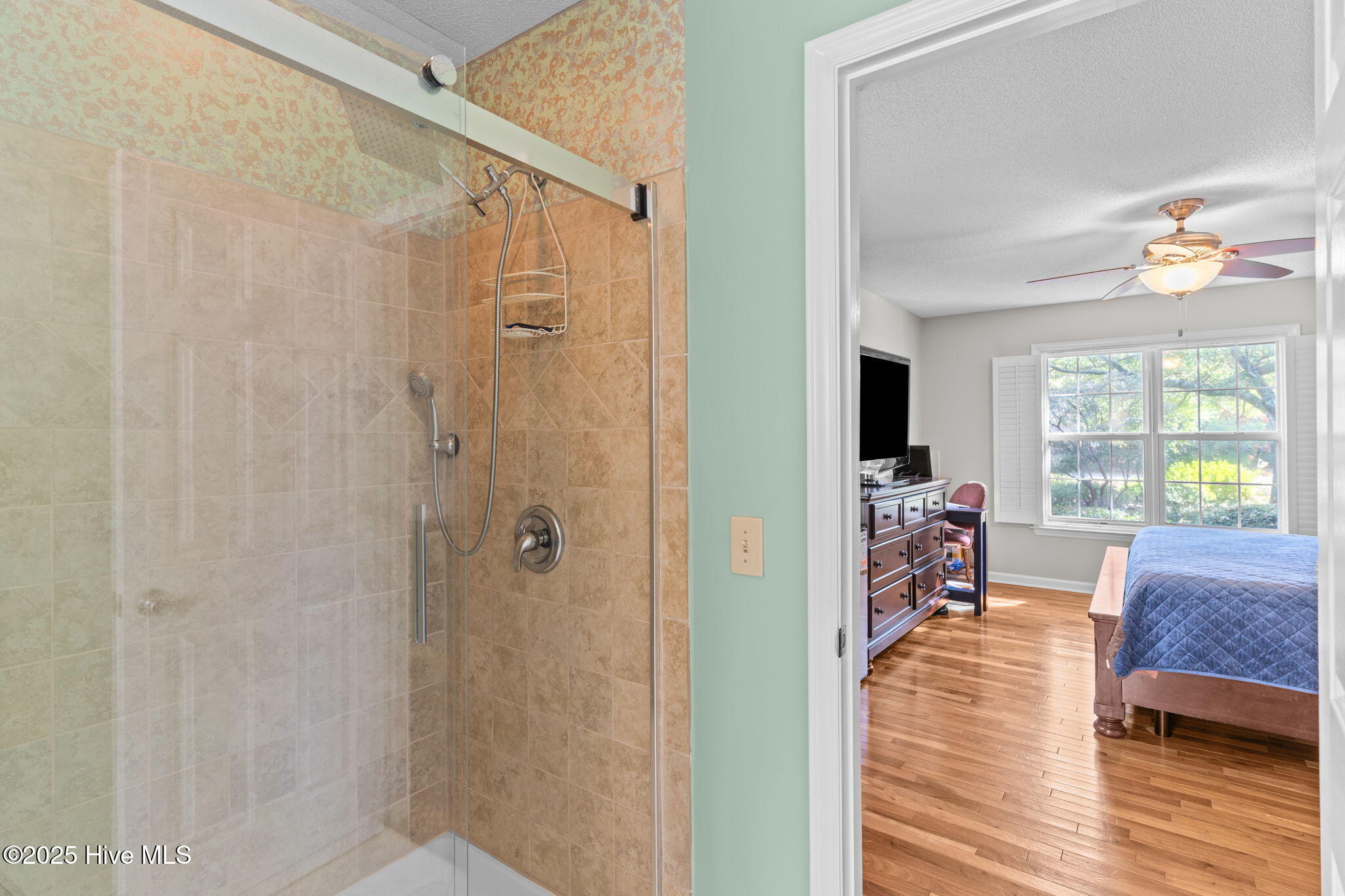 100543111 | Photo 29