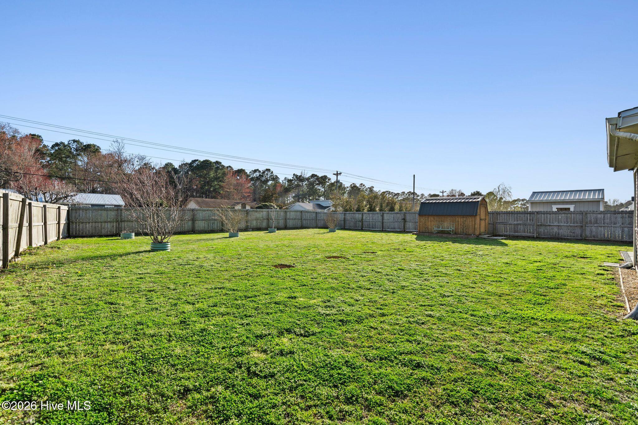 100559181 | Photo 43