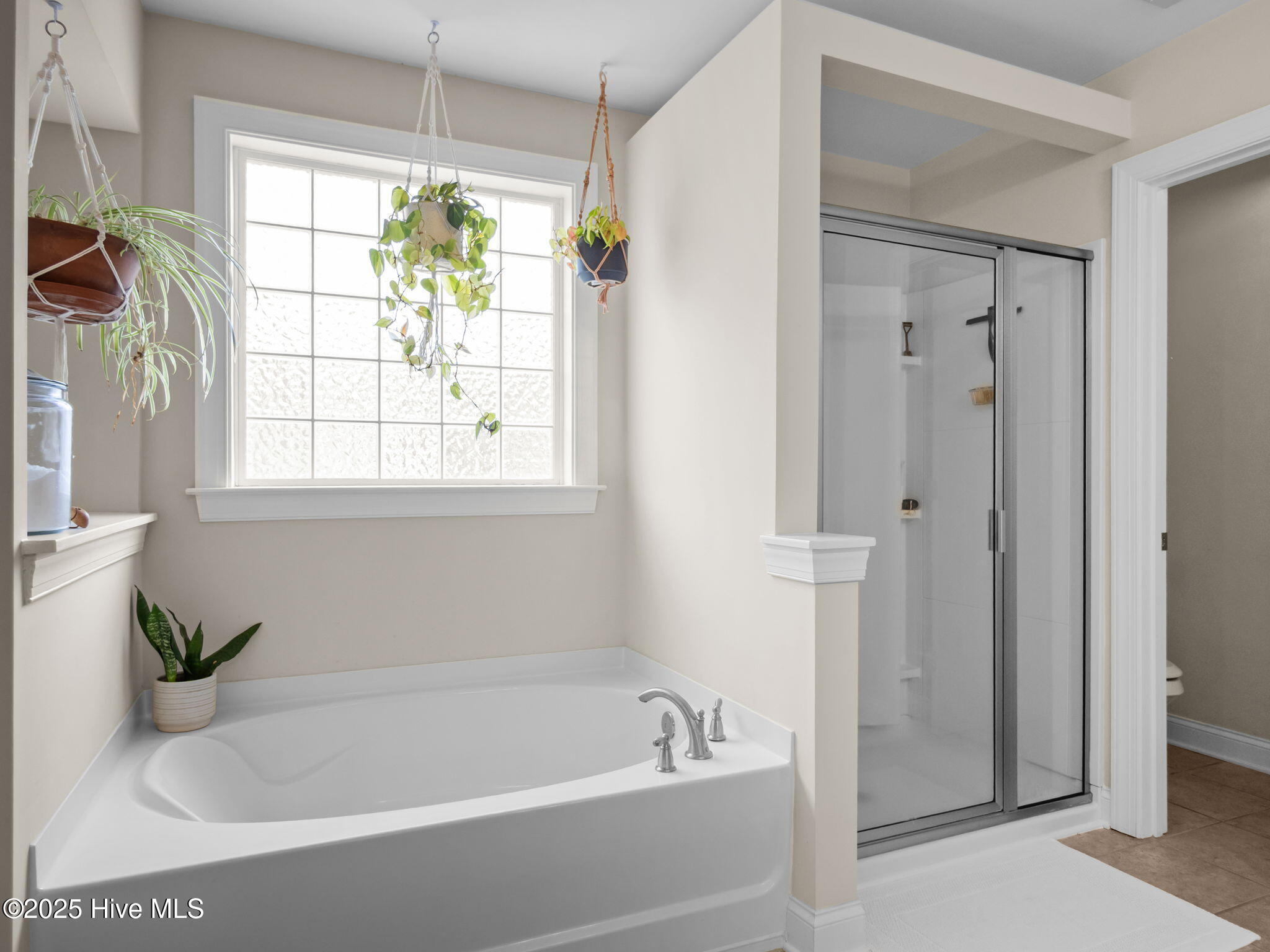 100525324 | Photo 20