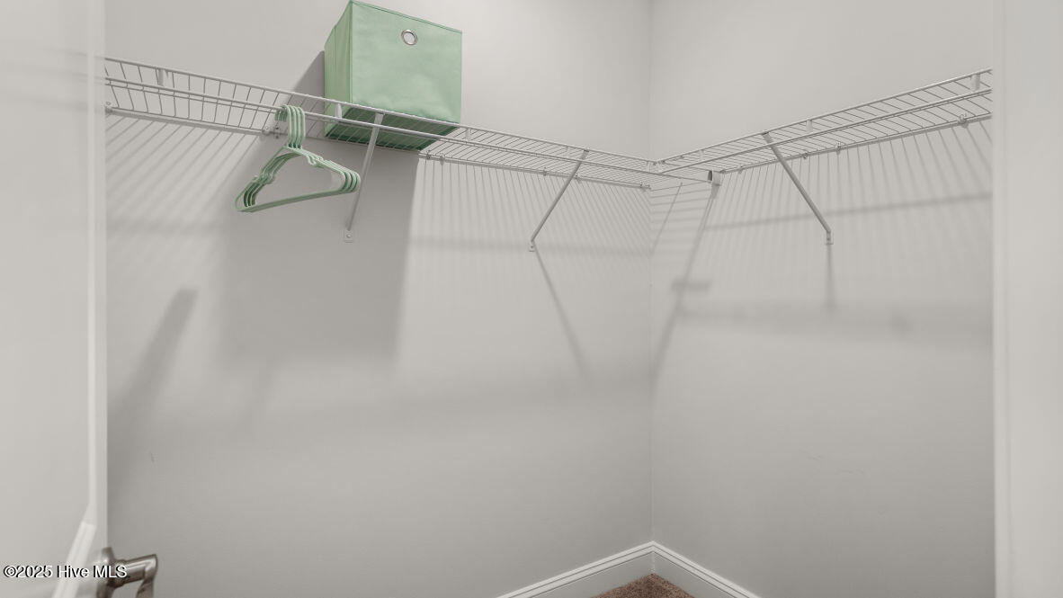 100559117 | Photo 19