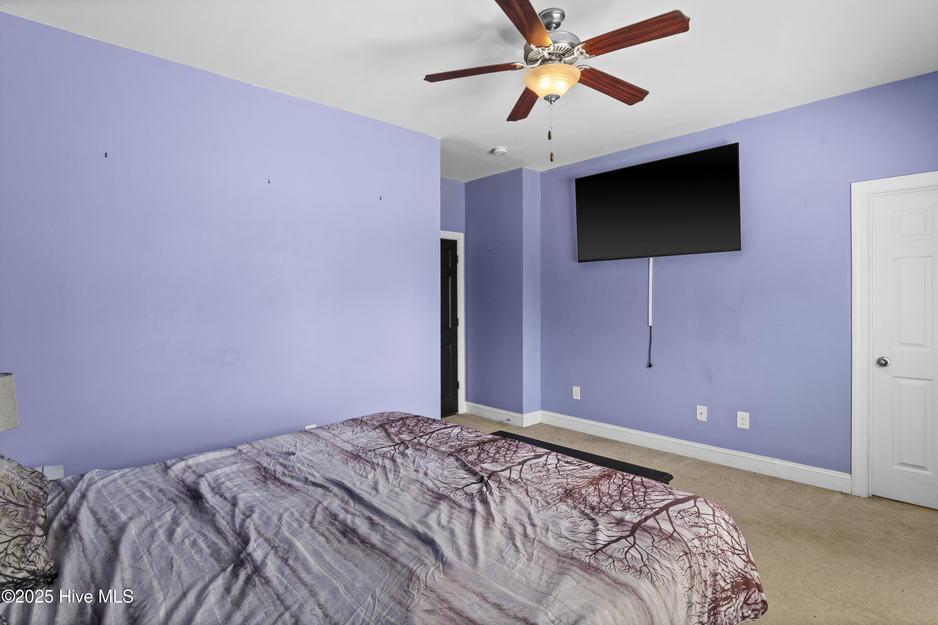 100530056 | Photo 33