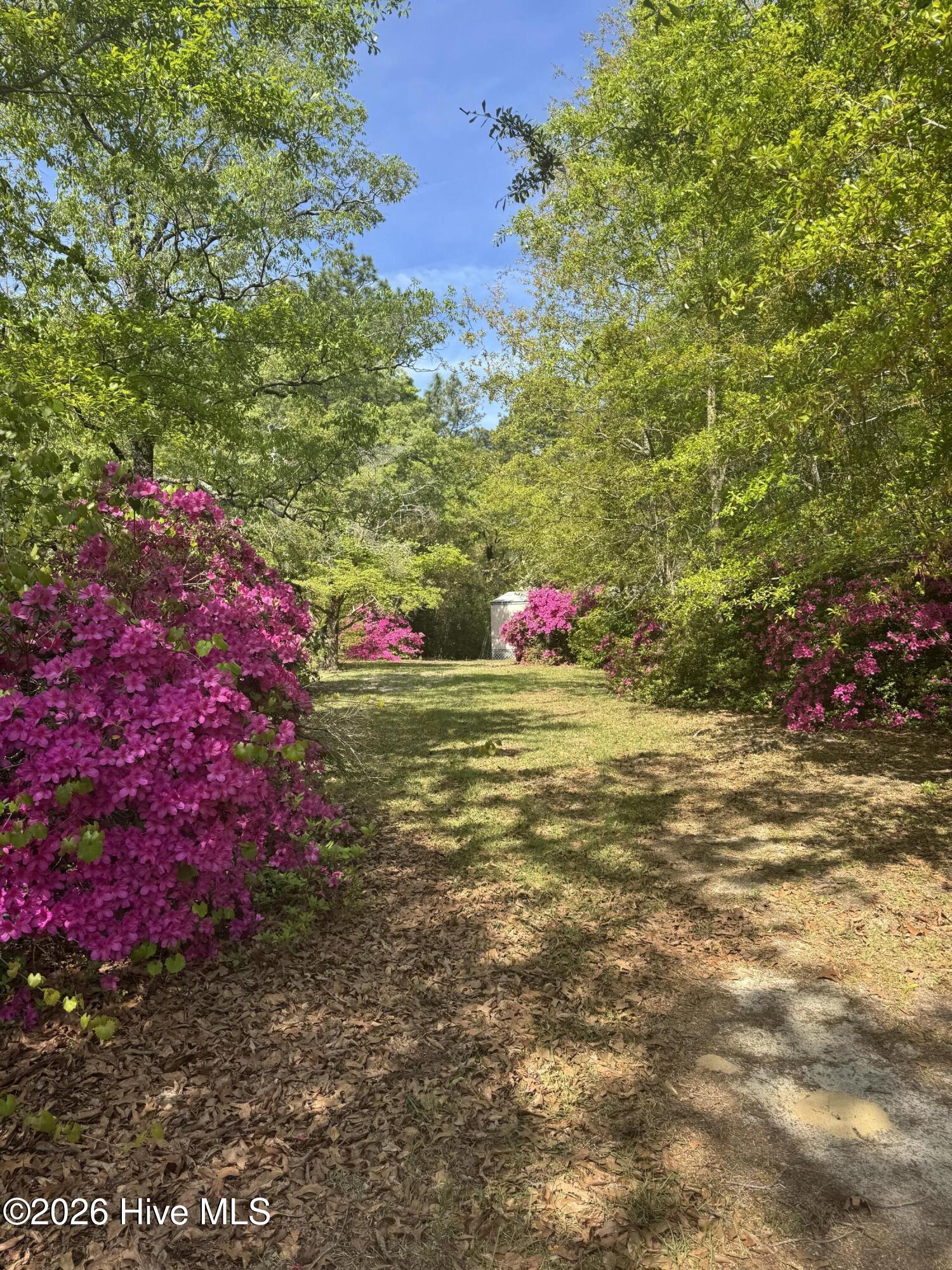 490 Springhill Church Road, Hamlet, NC, 28345