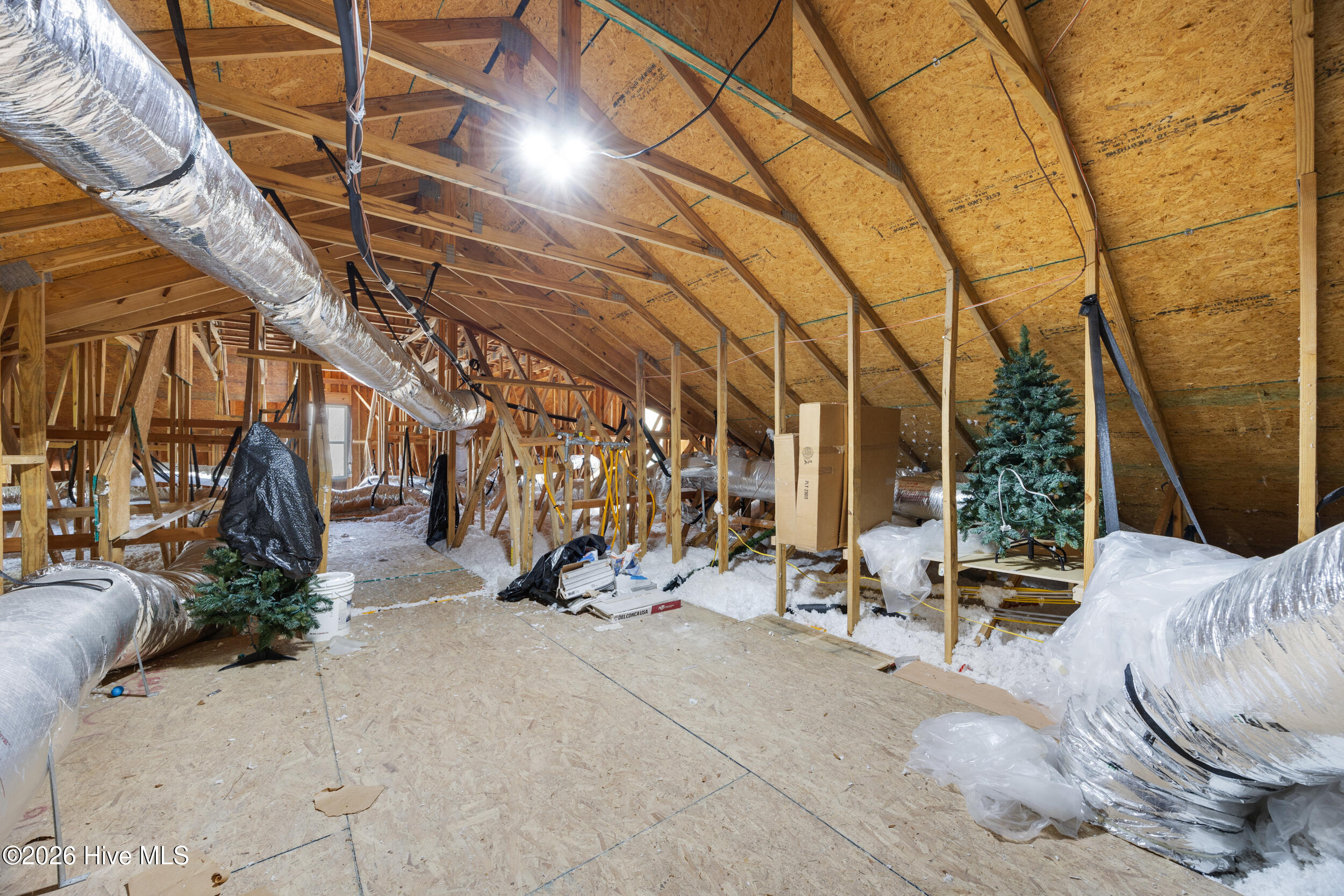 100569354 | Photo 59