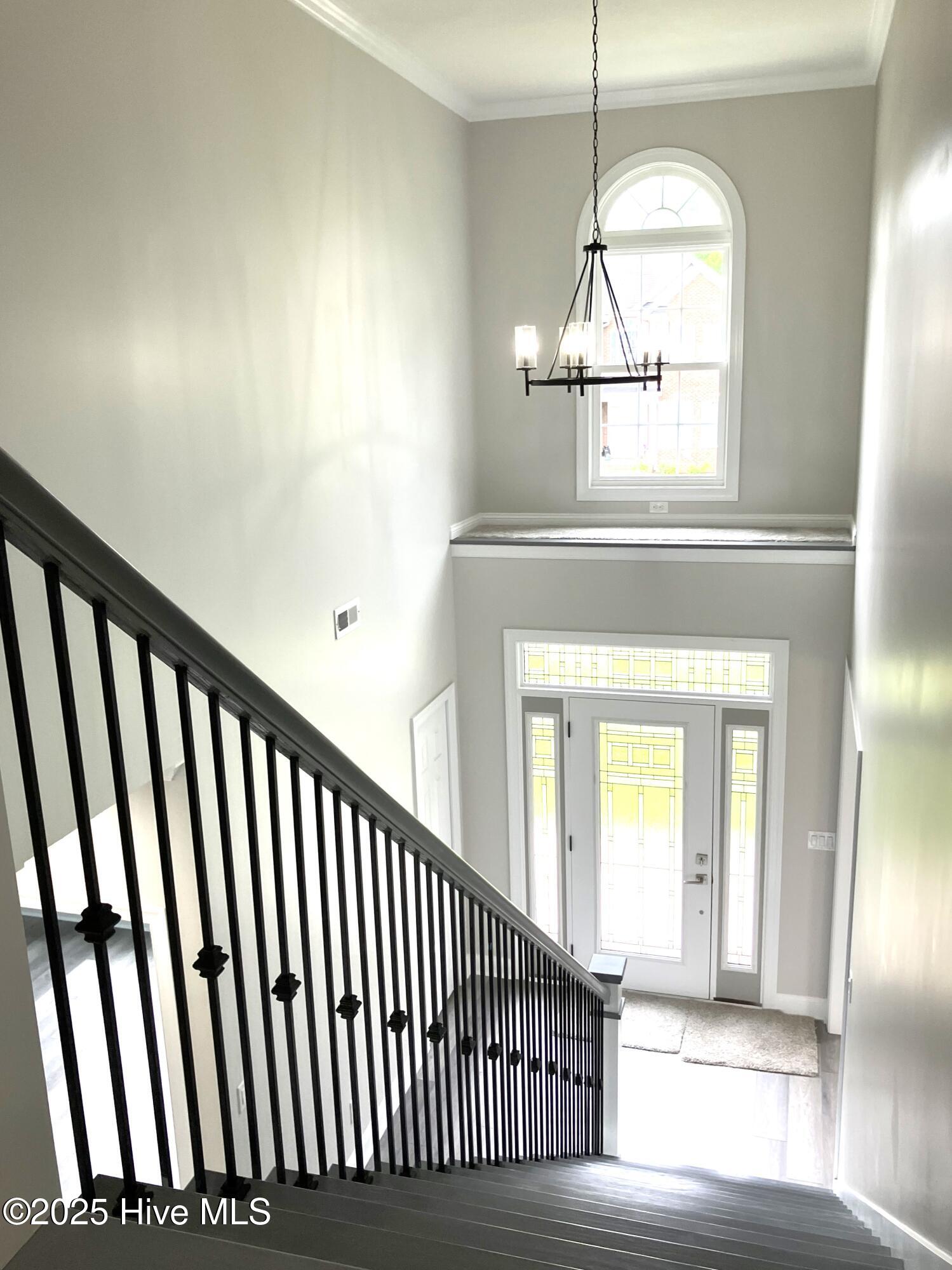 100514031 | Photo 42