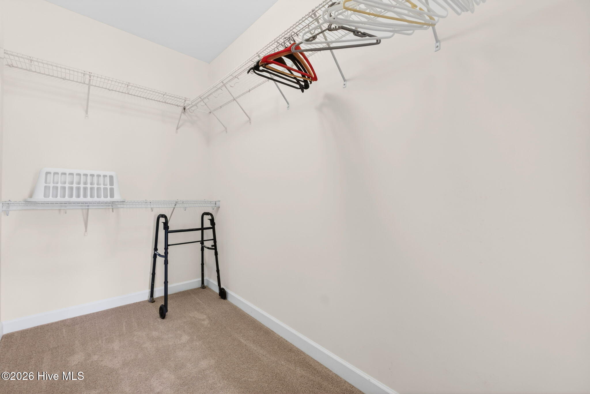 100568431 | Photo 18