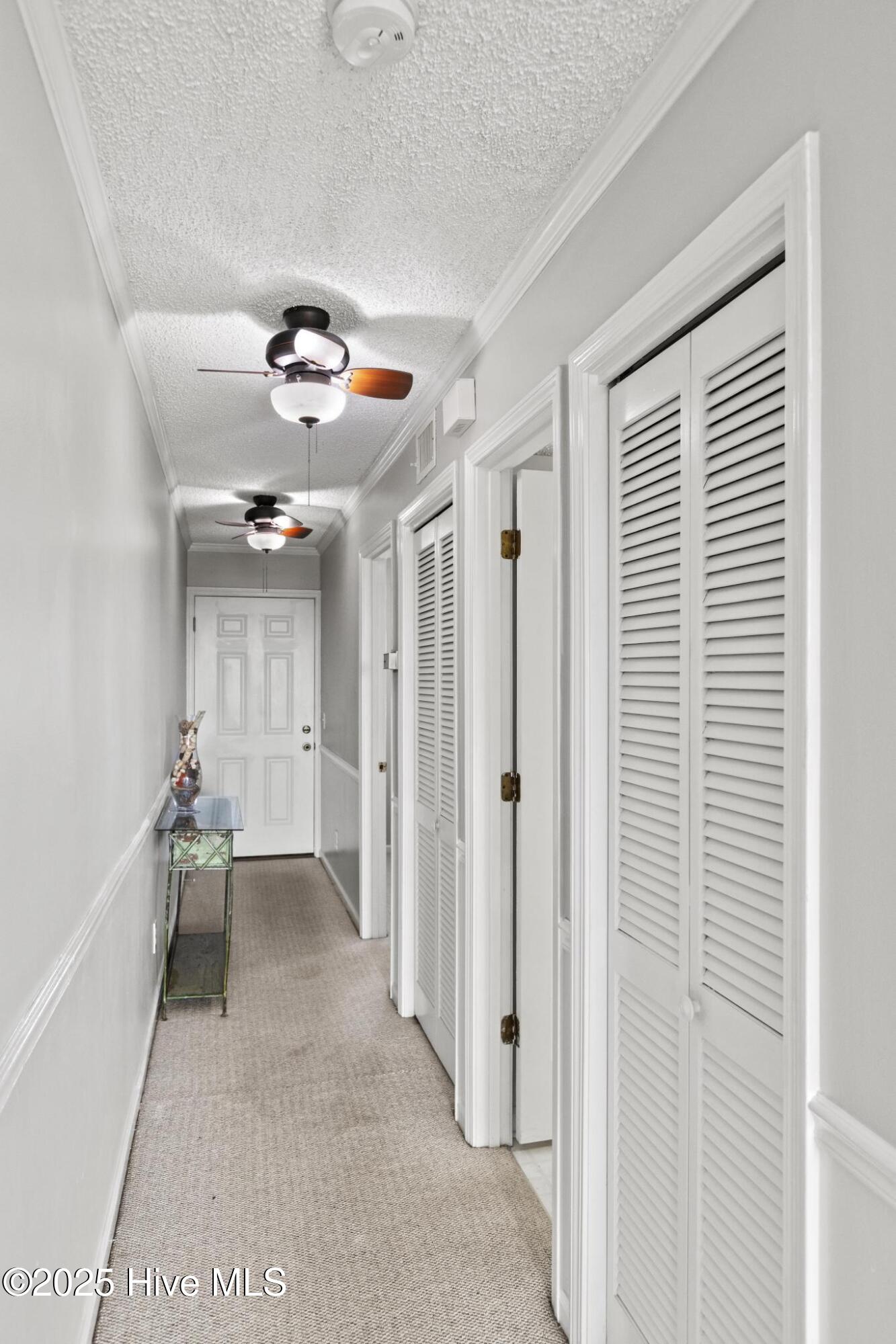 100544751 | Photo 13