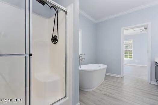 100512300 | Photo 18