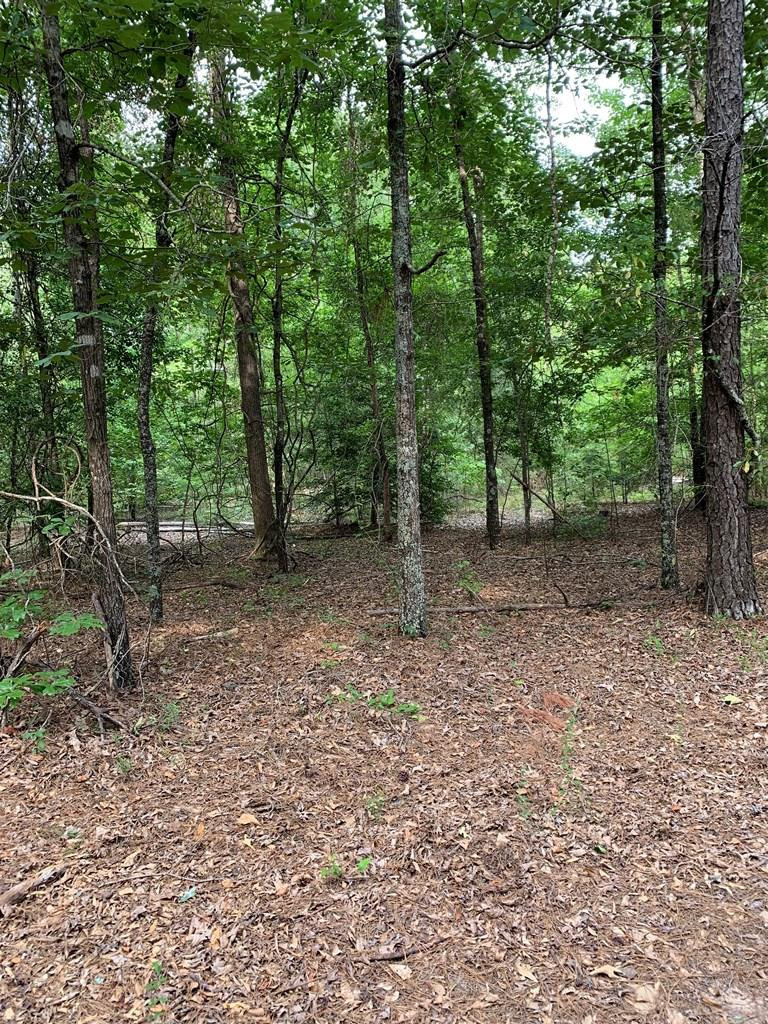 3261 Highway 102 E, Gibson, GA 30810 Listing Photo  1
