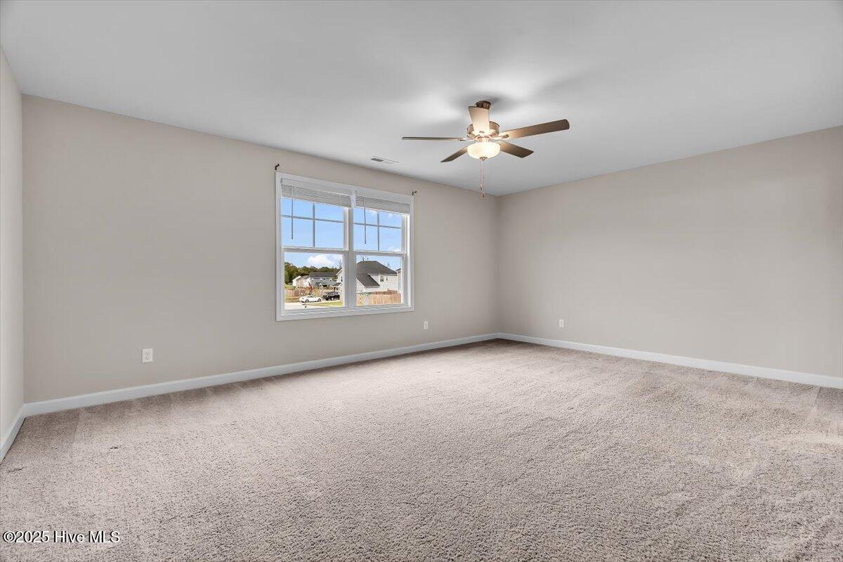 100537341 | Photo 20