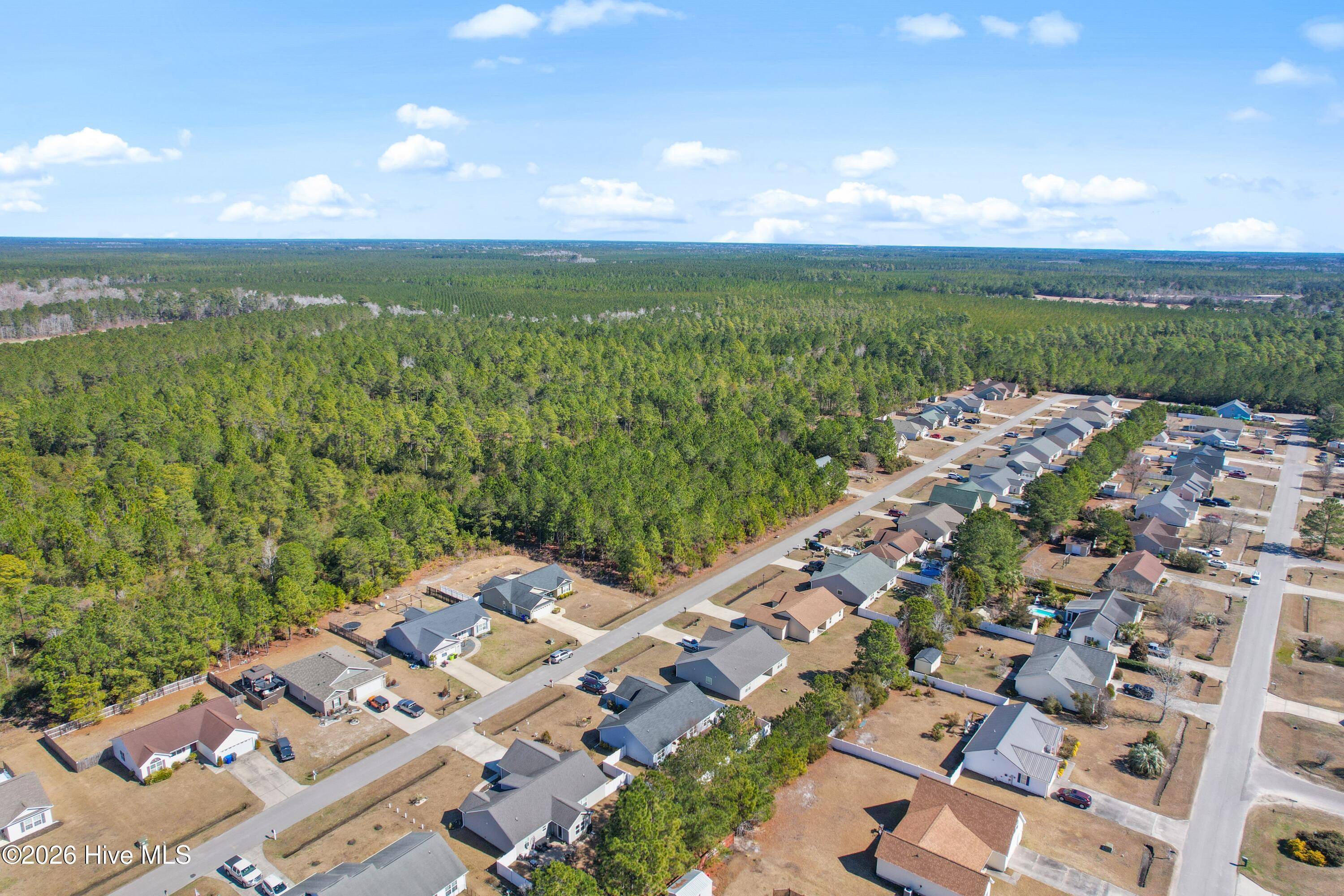 100556546 | Photo 45