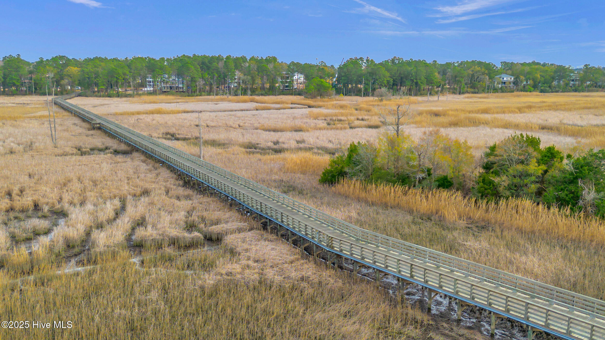 100564595 | Photo 13