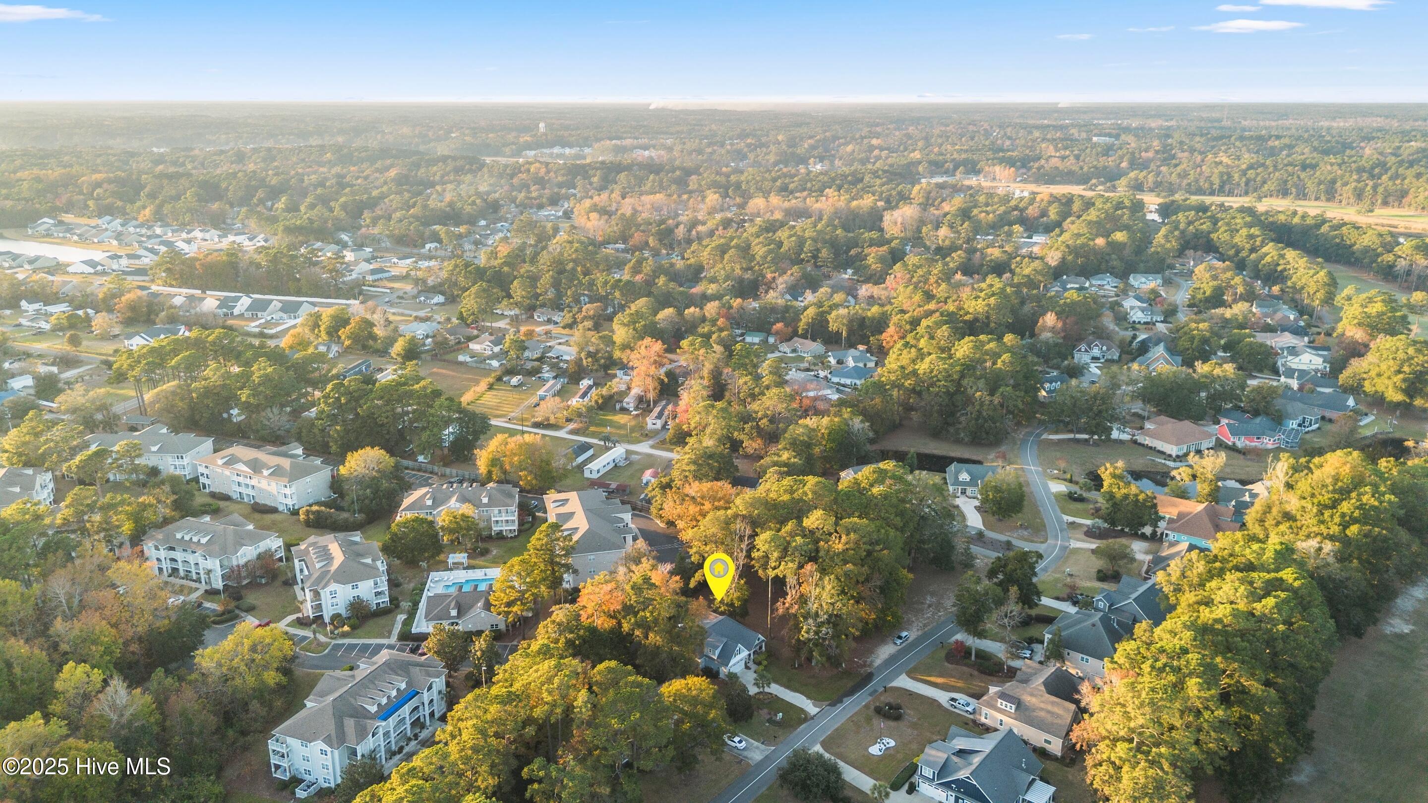 100542073 | Photo 56