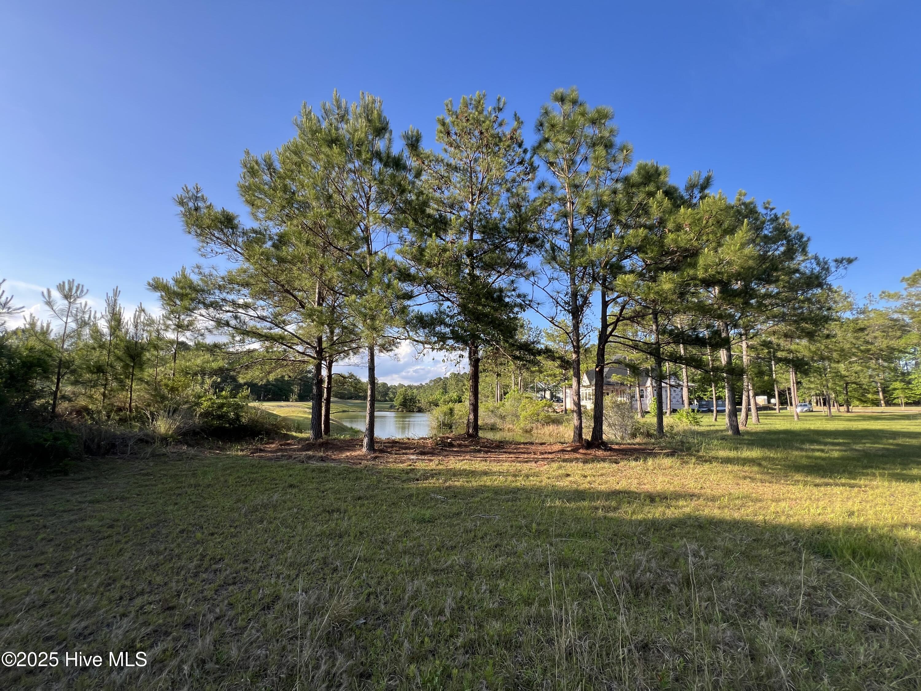 100509687 | Photo 47