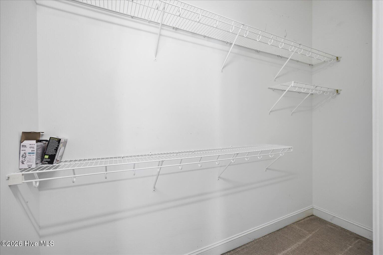 100563143 | Photo 14