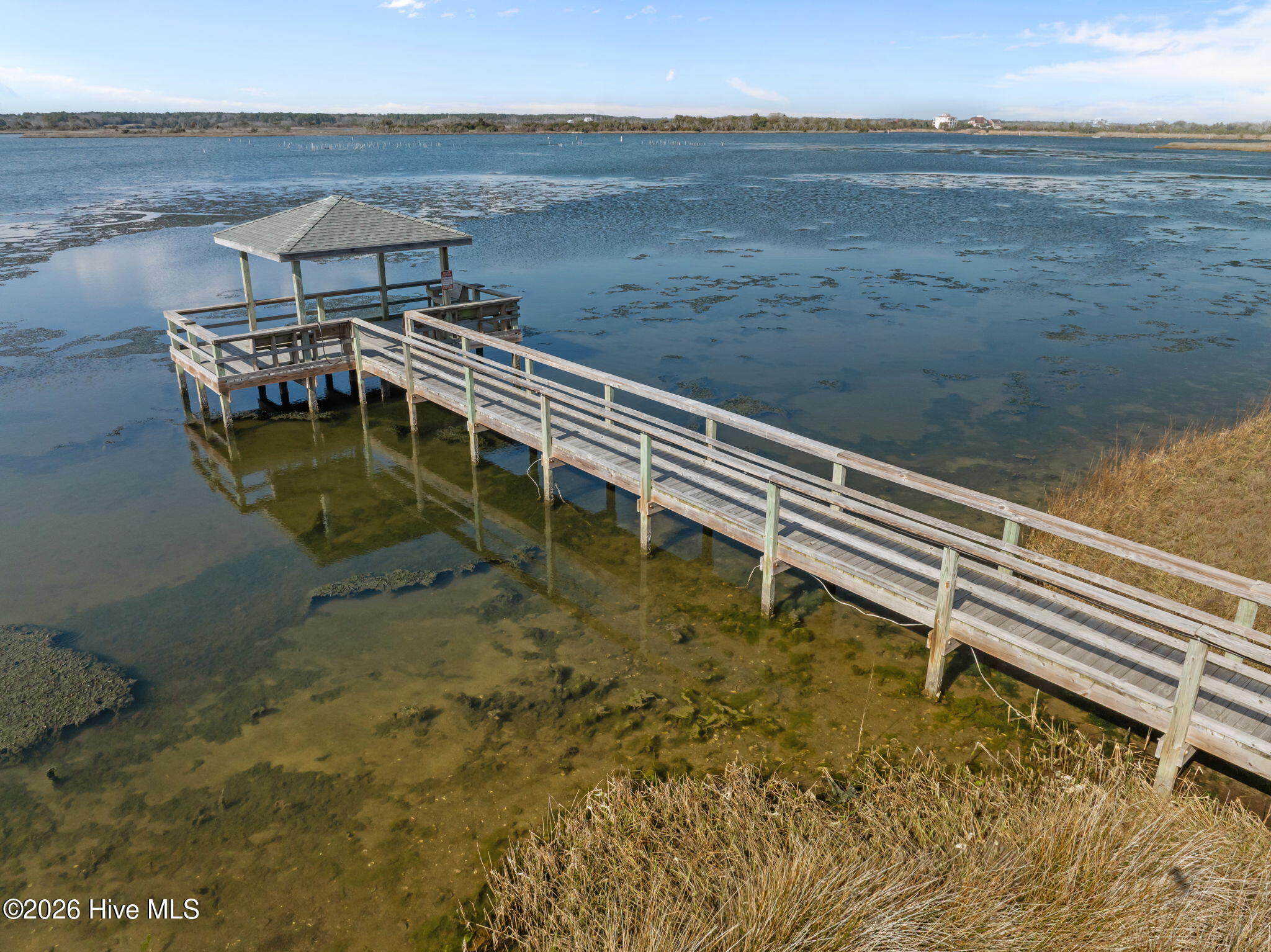 100559351 | Photo 51