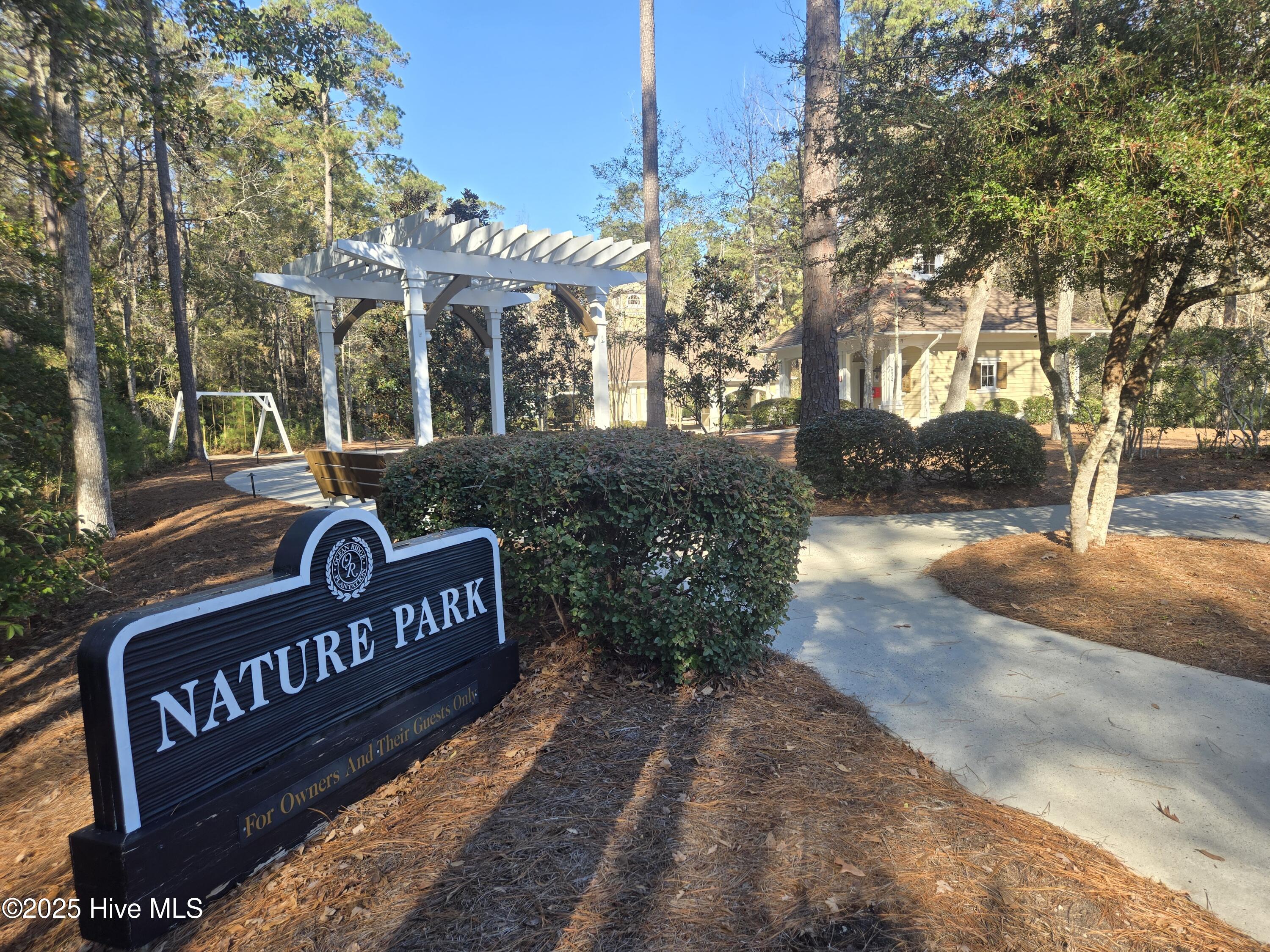 100545211 | Photo 91