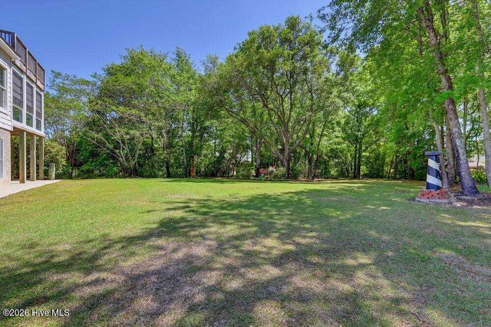 100569343 | Photo 43