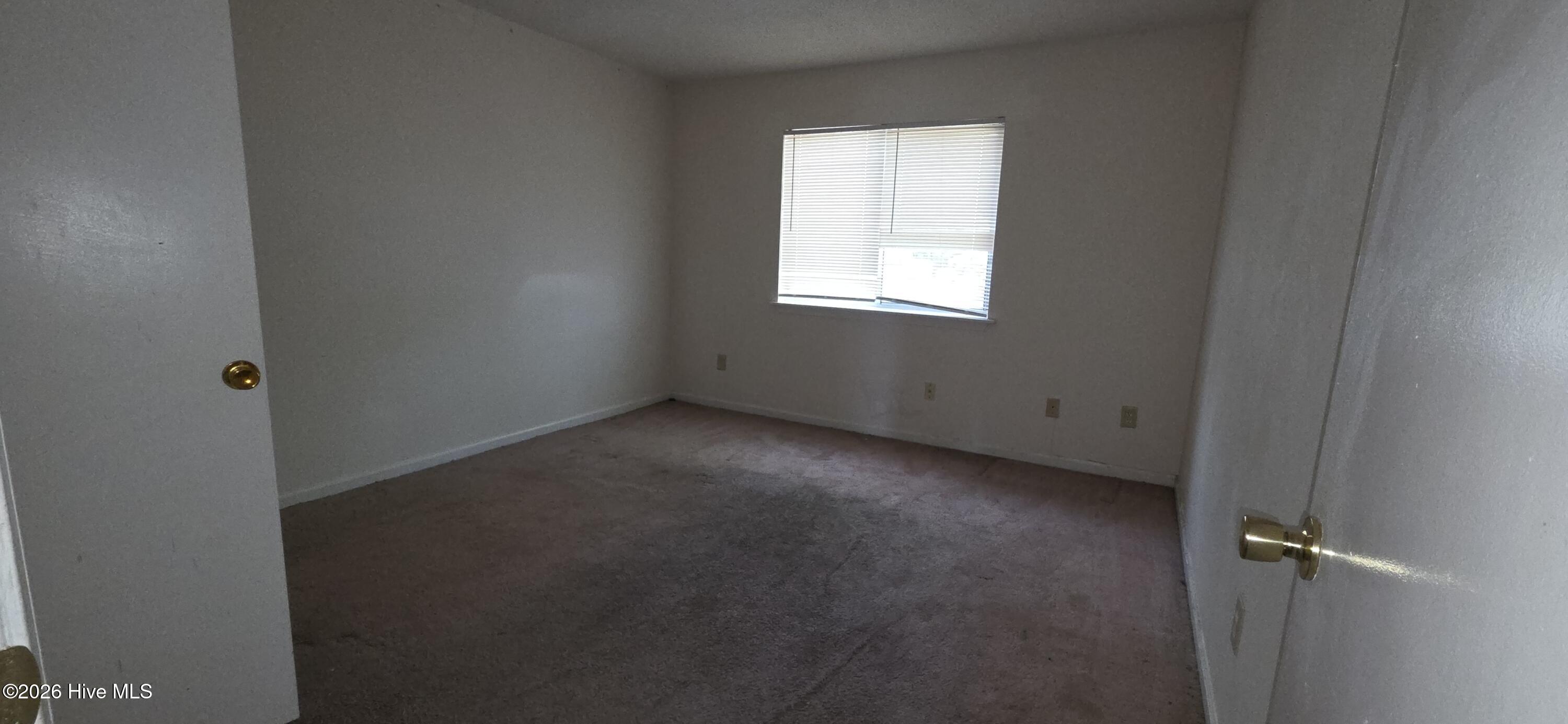 100565351 | Photo 11