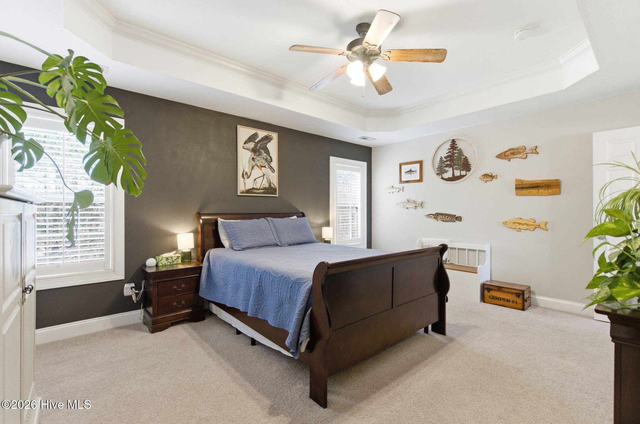 100561216 | Photo 23