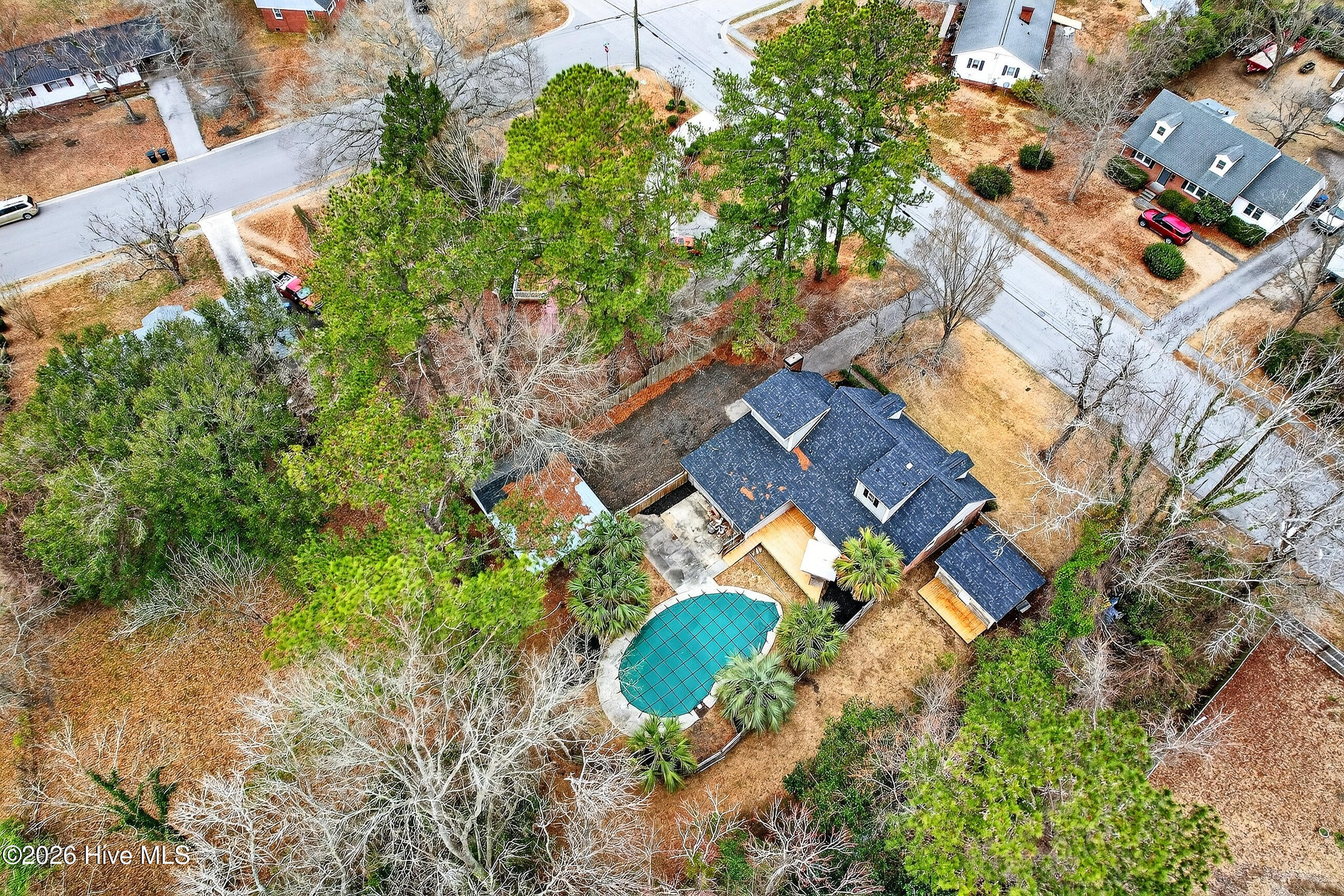 100558512 | Photo 44