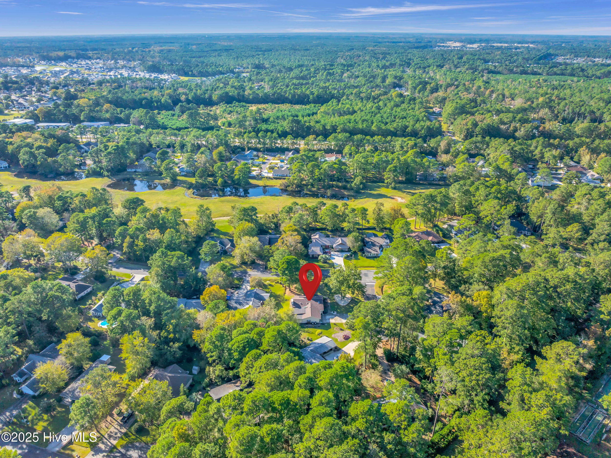 100538752 | Photo 38