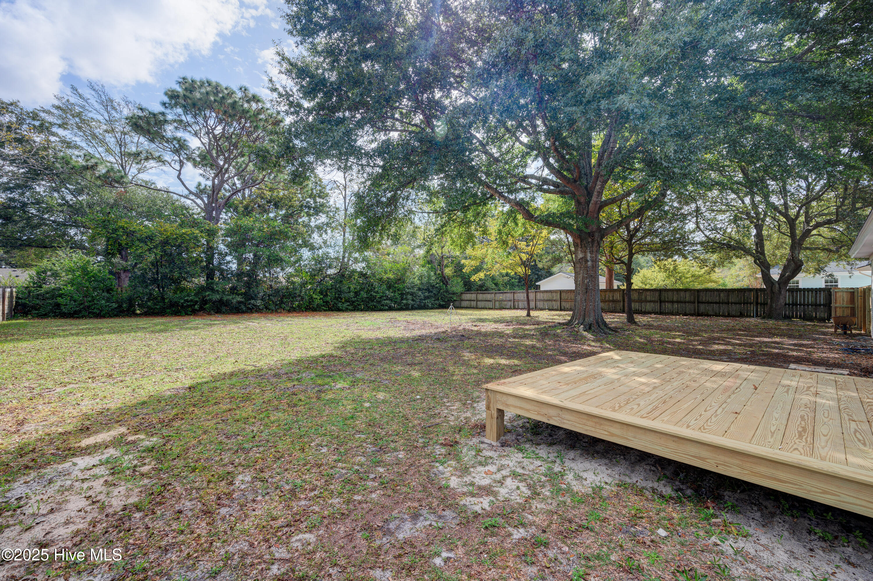 100534169 | Photo 41