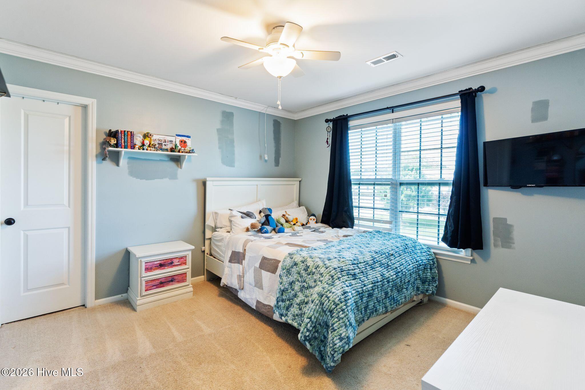 301 Palisades Way,New Bern