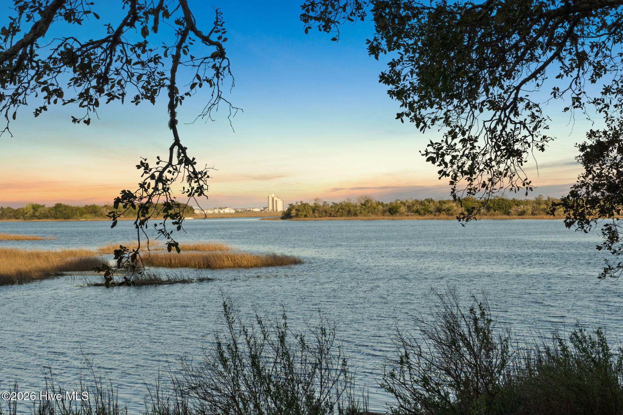 100566837 | Photo 24