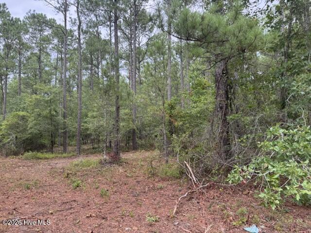 2nd image of 0 Nc Hwy 210 Rd, Currie, NC 28435 | MLS# 100591122