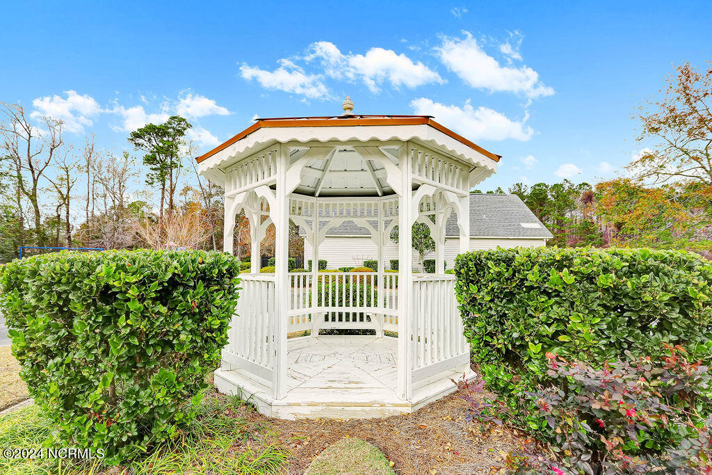 100565738 | Photo 41