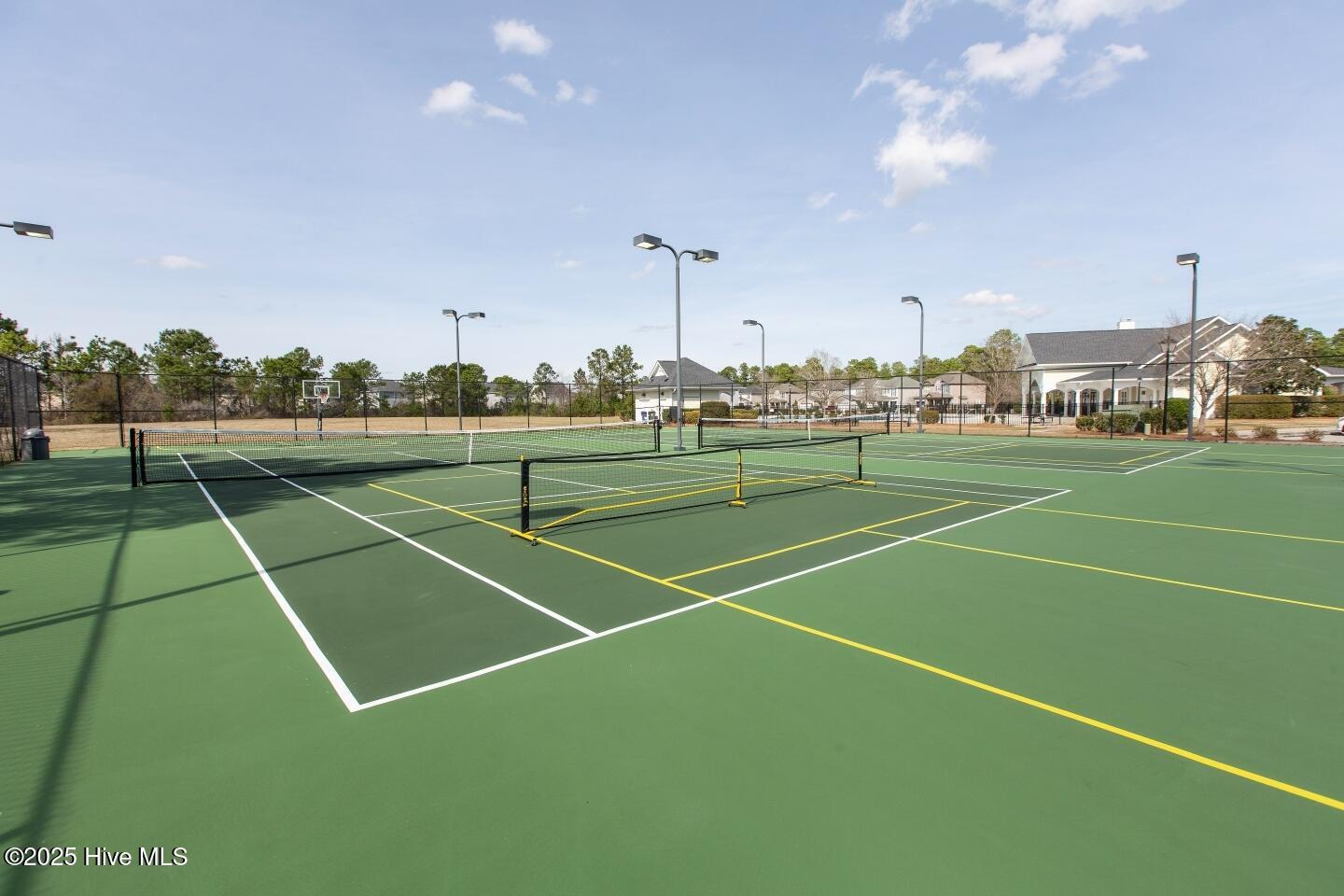 100517539 | Photo 42