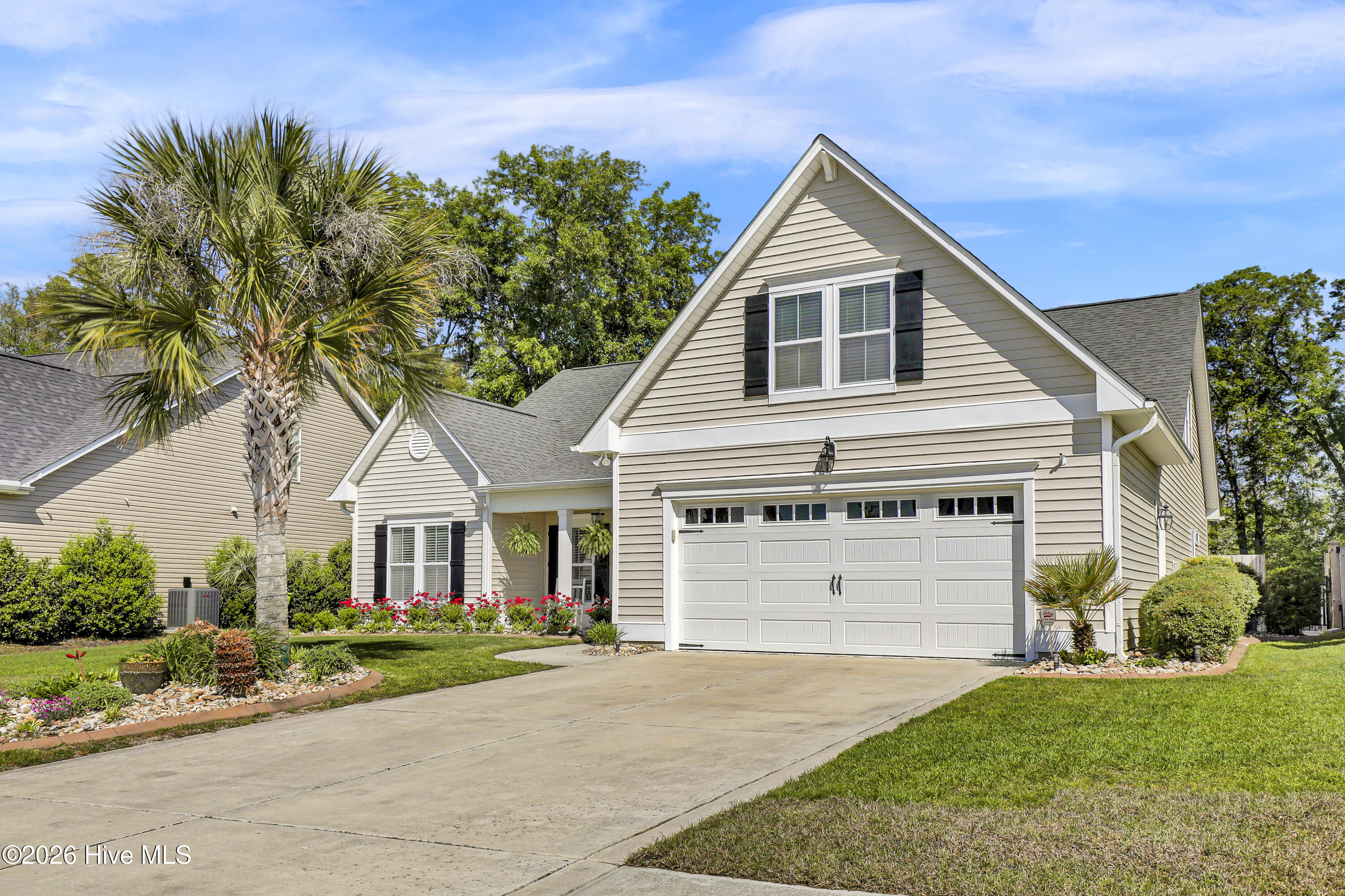 100567607 | Photo 53