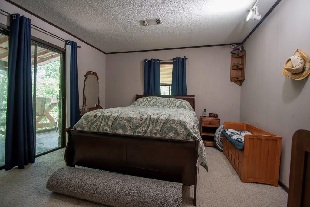 337 Simpson Mountain Road, Murphy, NC 28906 Listing Photo  13