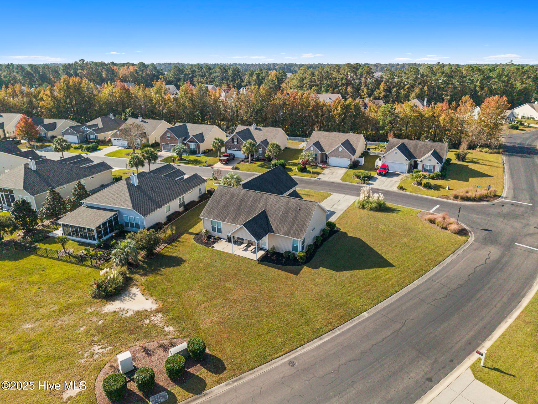 100540486 | Photo 41