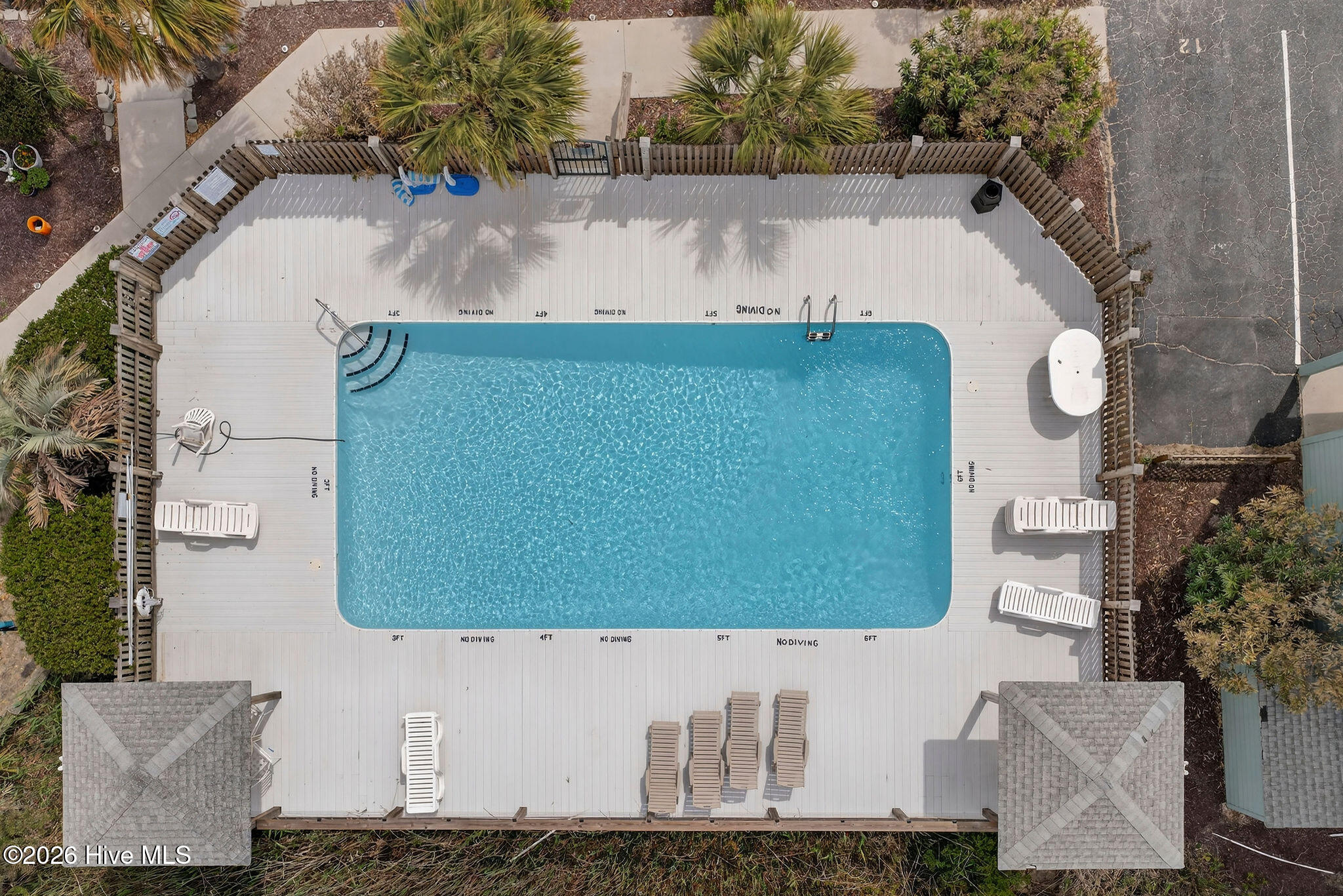 100554864 | Photo 41