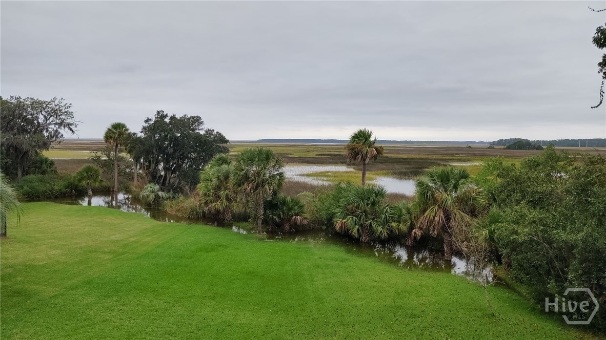 374 Coffee Bluff Villa Road, Savannah, GA 31419 Listing Photo  39