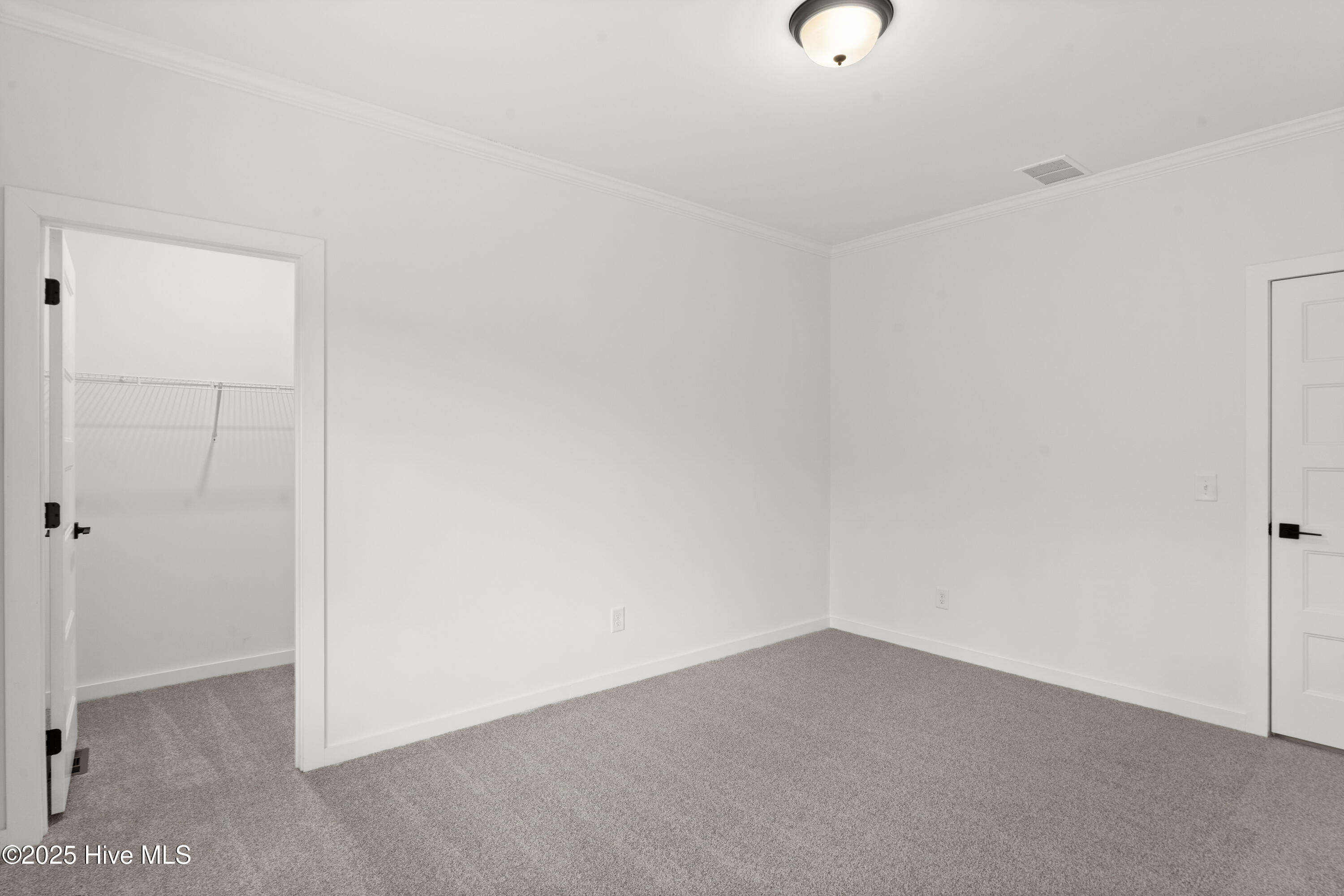 100546141 | Photo 22