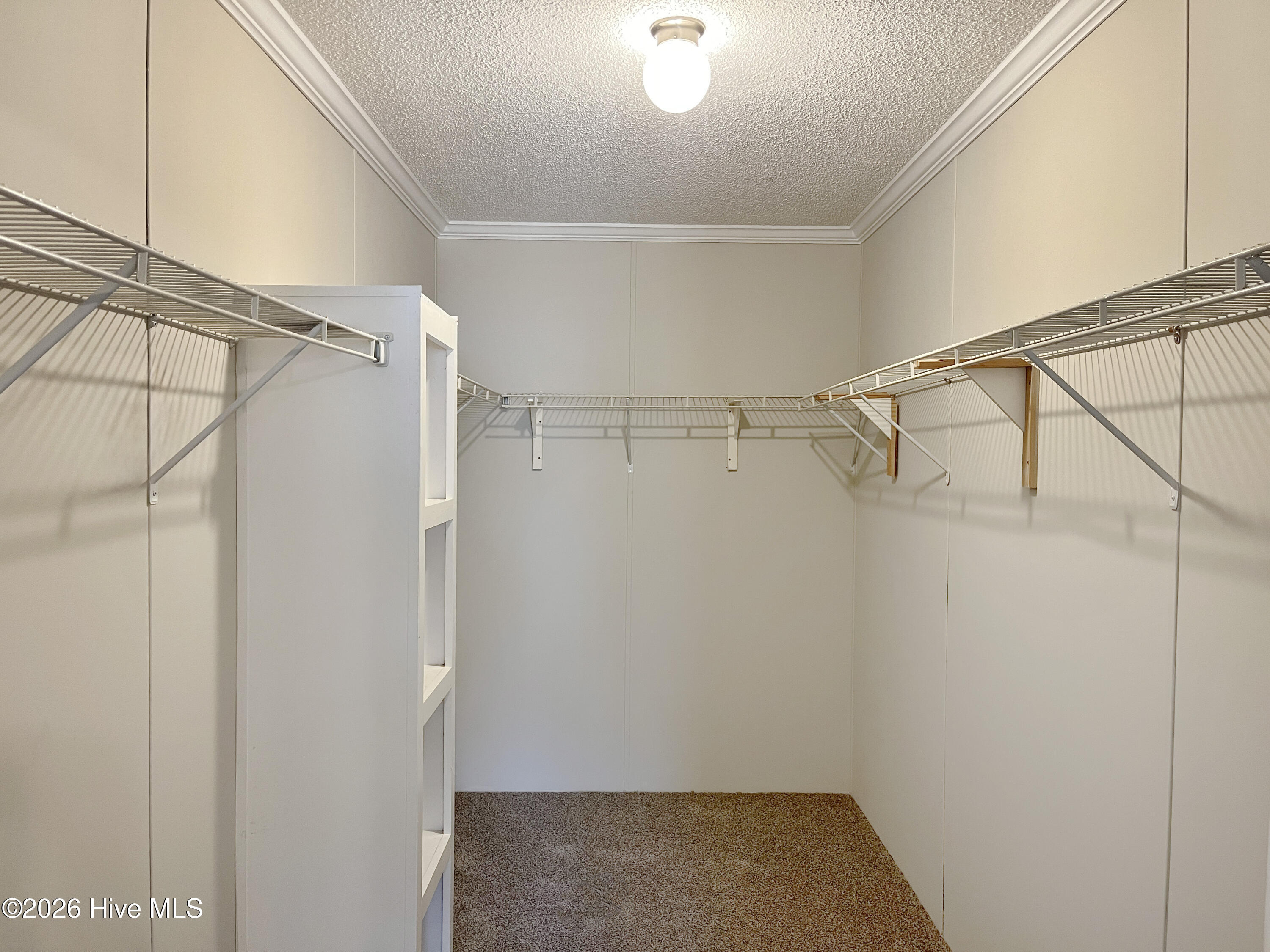 327 Cypress Drive, Edenton, NC, 27932 327 Cypress Drive, Edenton, NC, 27932