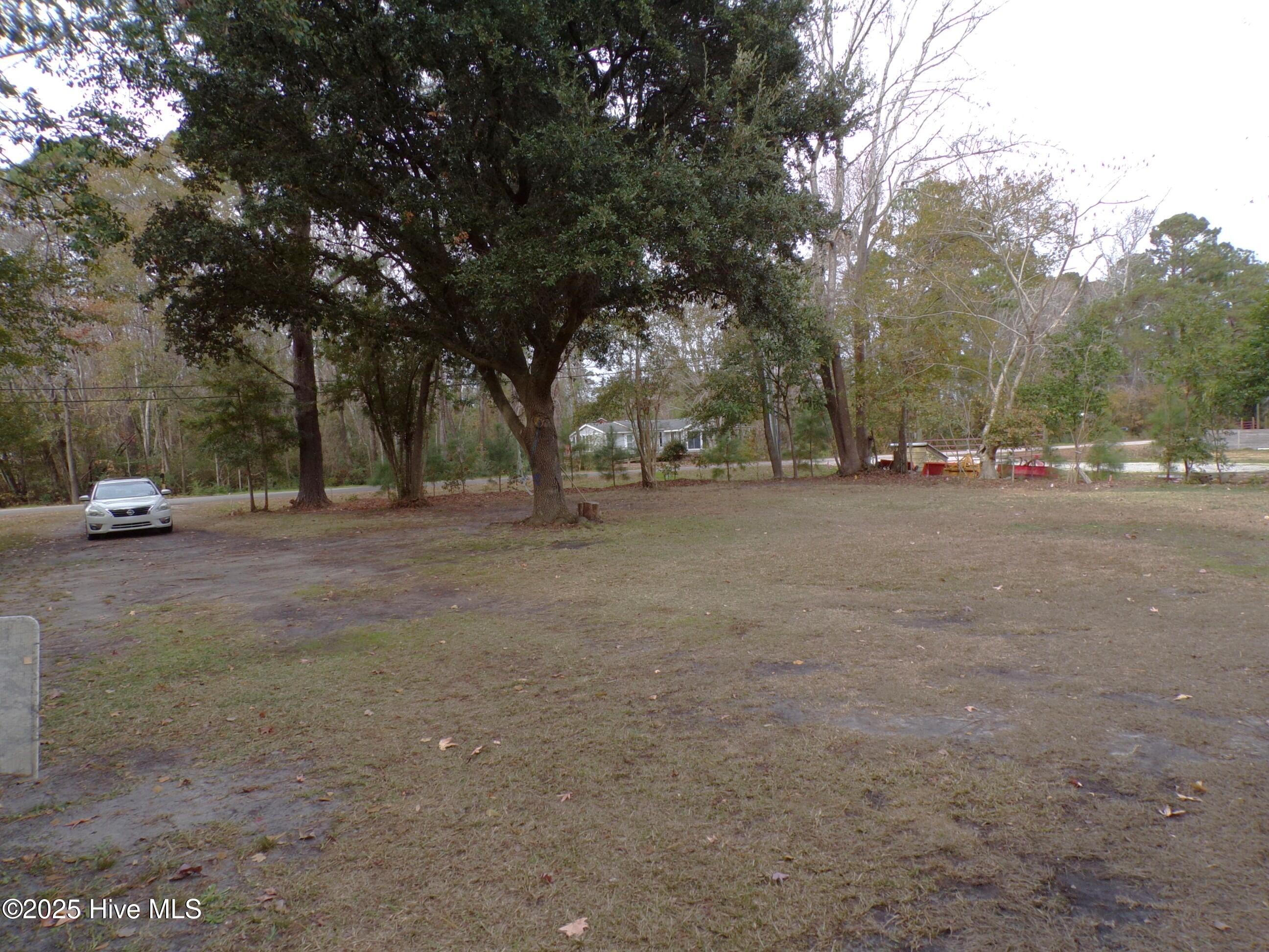 100546190 | Photo 21