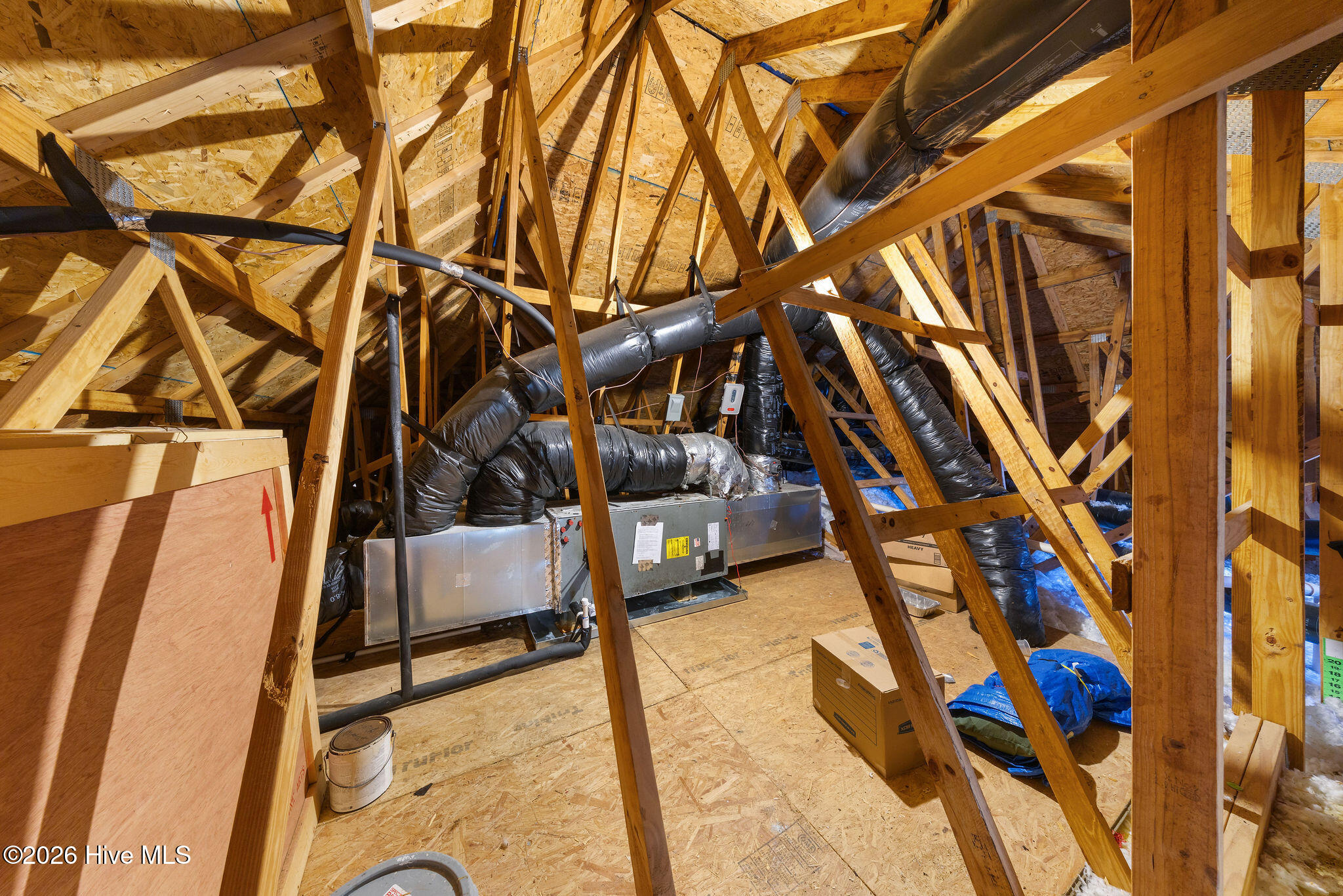 100554560 | Photo 44