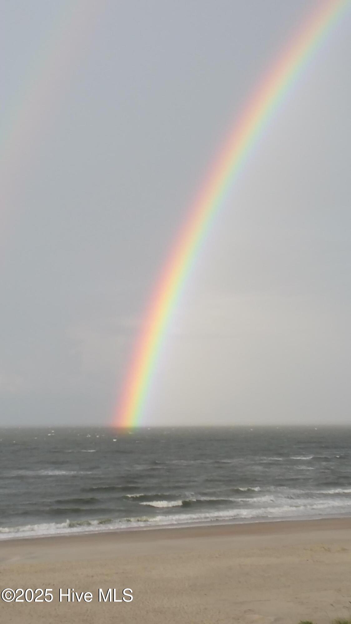 100541150 | Photo 63