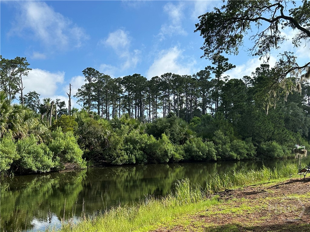 Photo 2 of Land for sale at 8 Topsail Ct, Savannah, GA 31411 | MLS# SA332346 | Listing updated on 2026-10-05