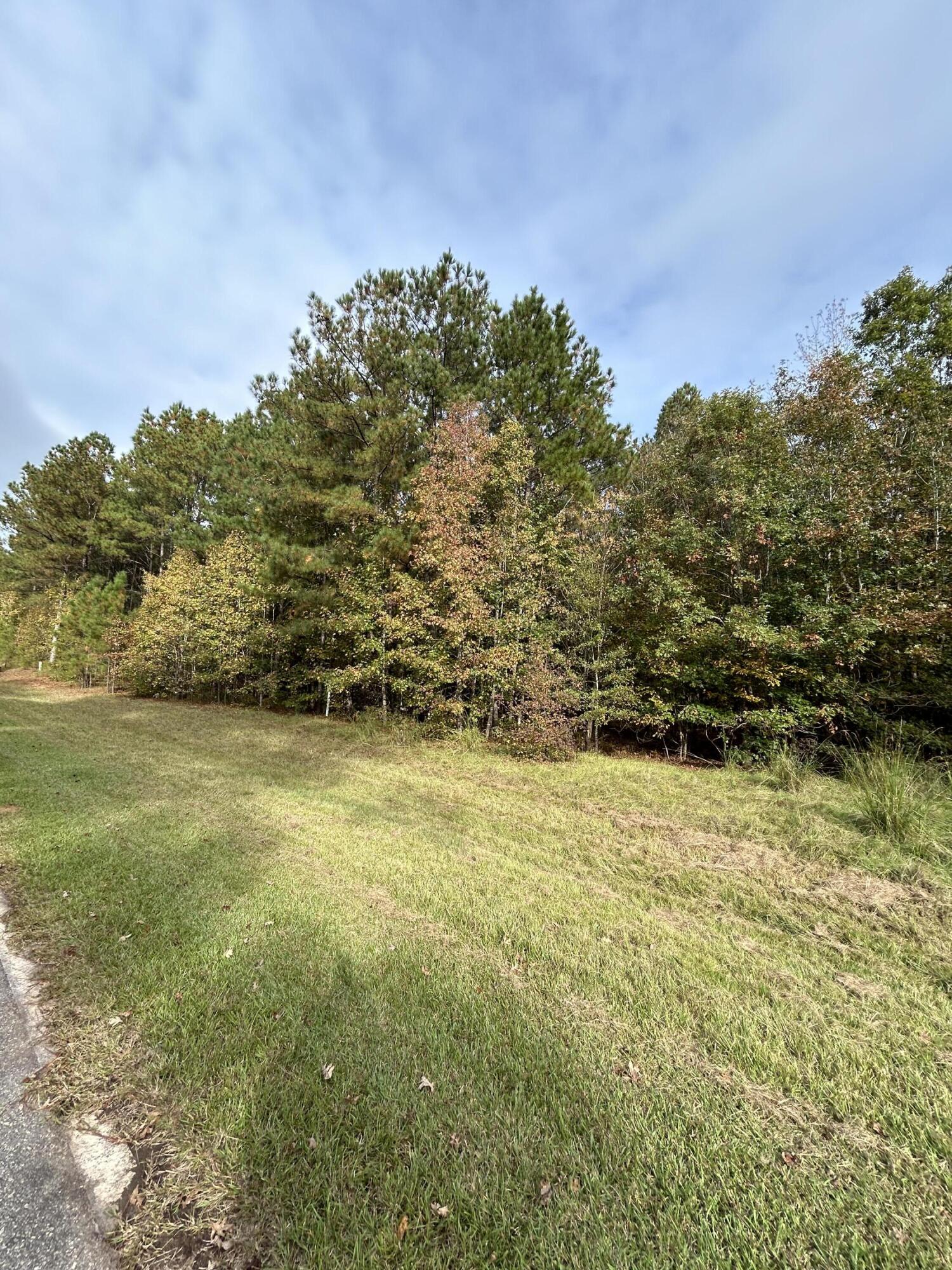 29 EAGLE POINTE, Lincolnton, GA, 30817