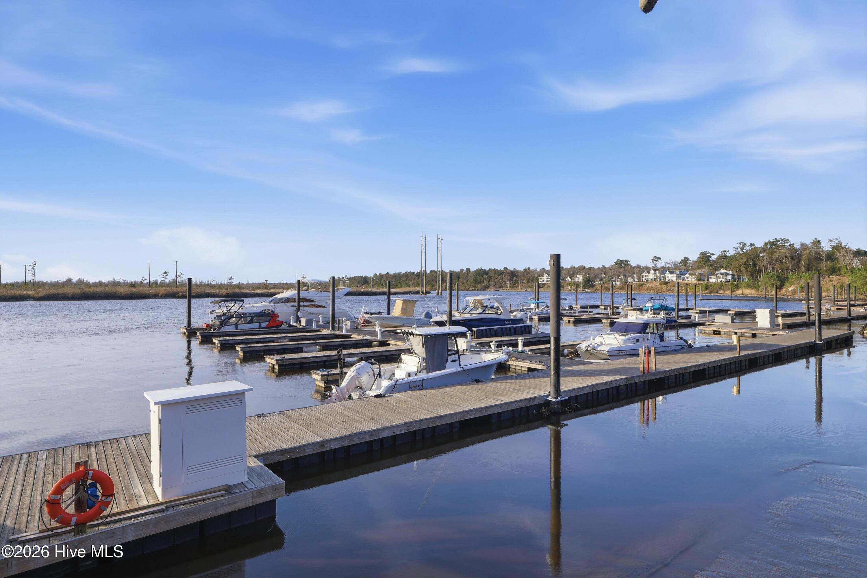 100558541 | Photo 71