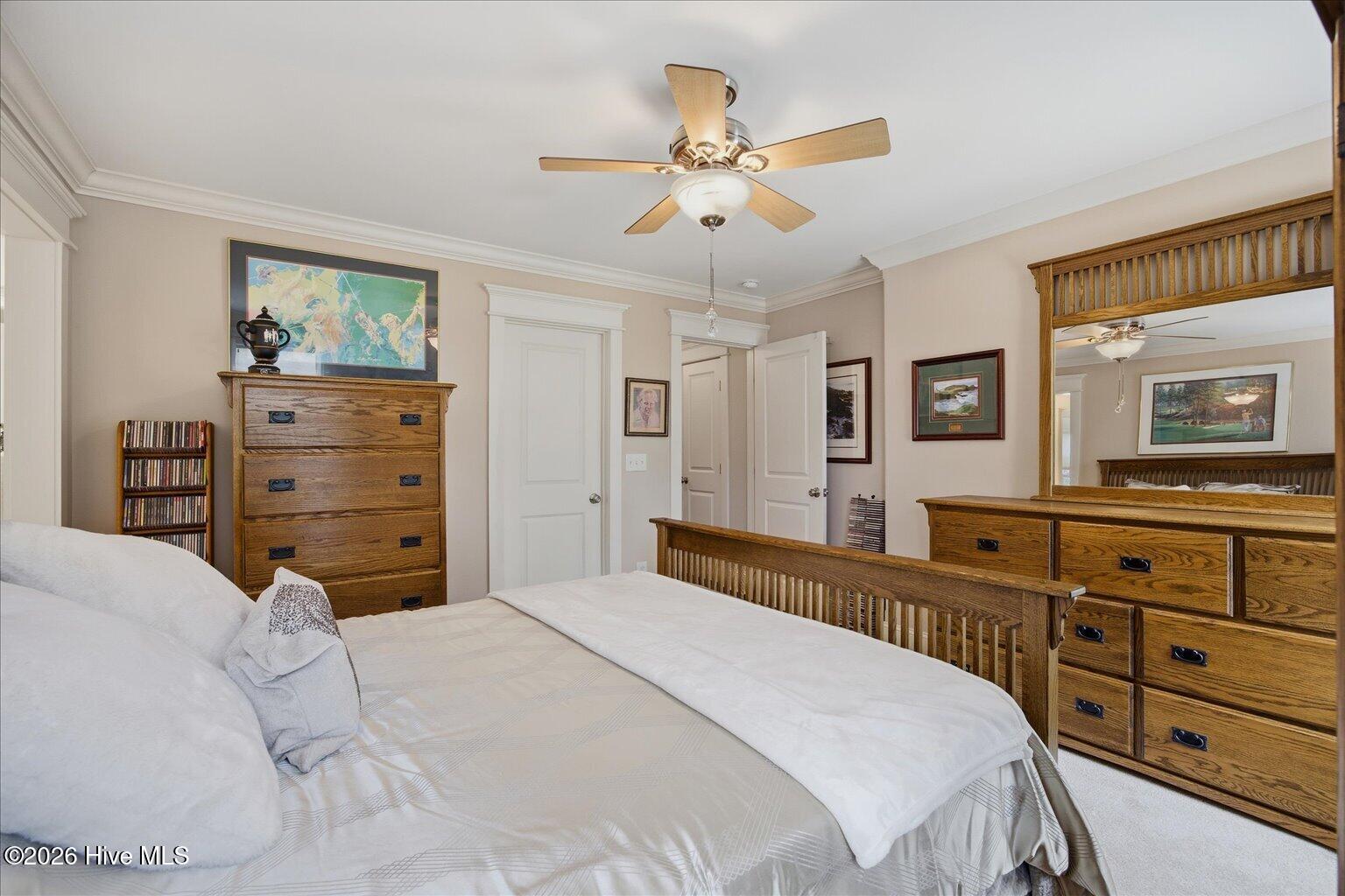 100564317 | Photo 34