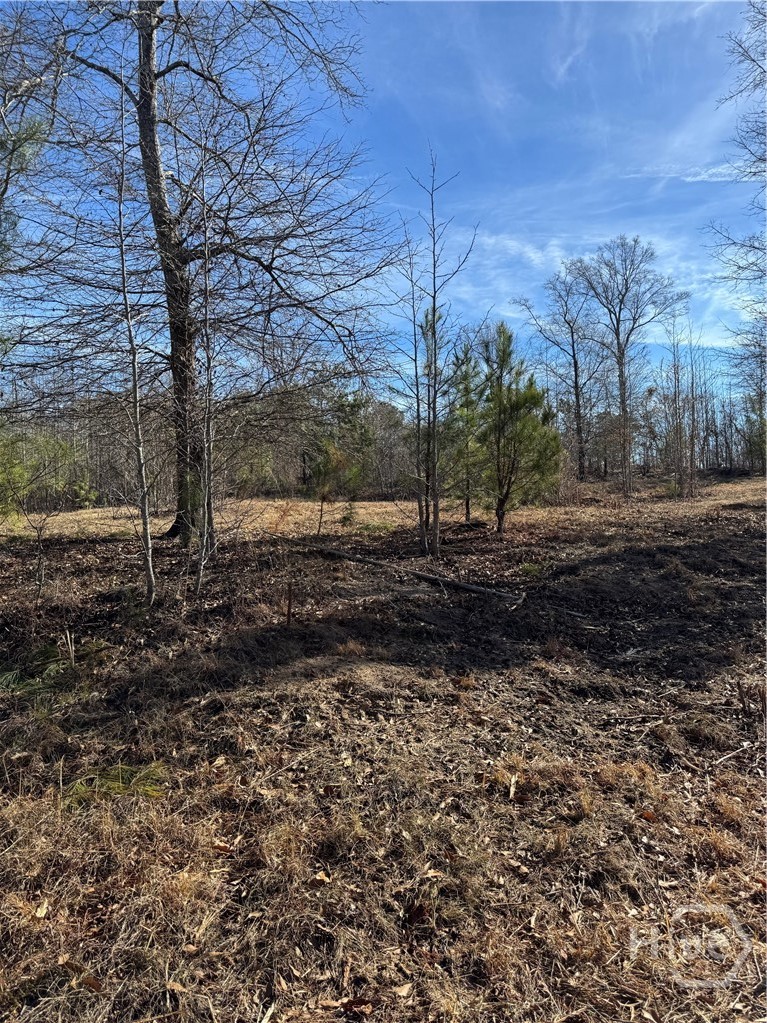 738 Old Mineral Springs Road, Elberton, GA, 30635