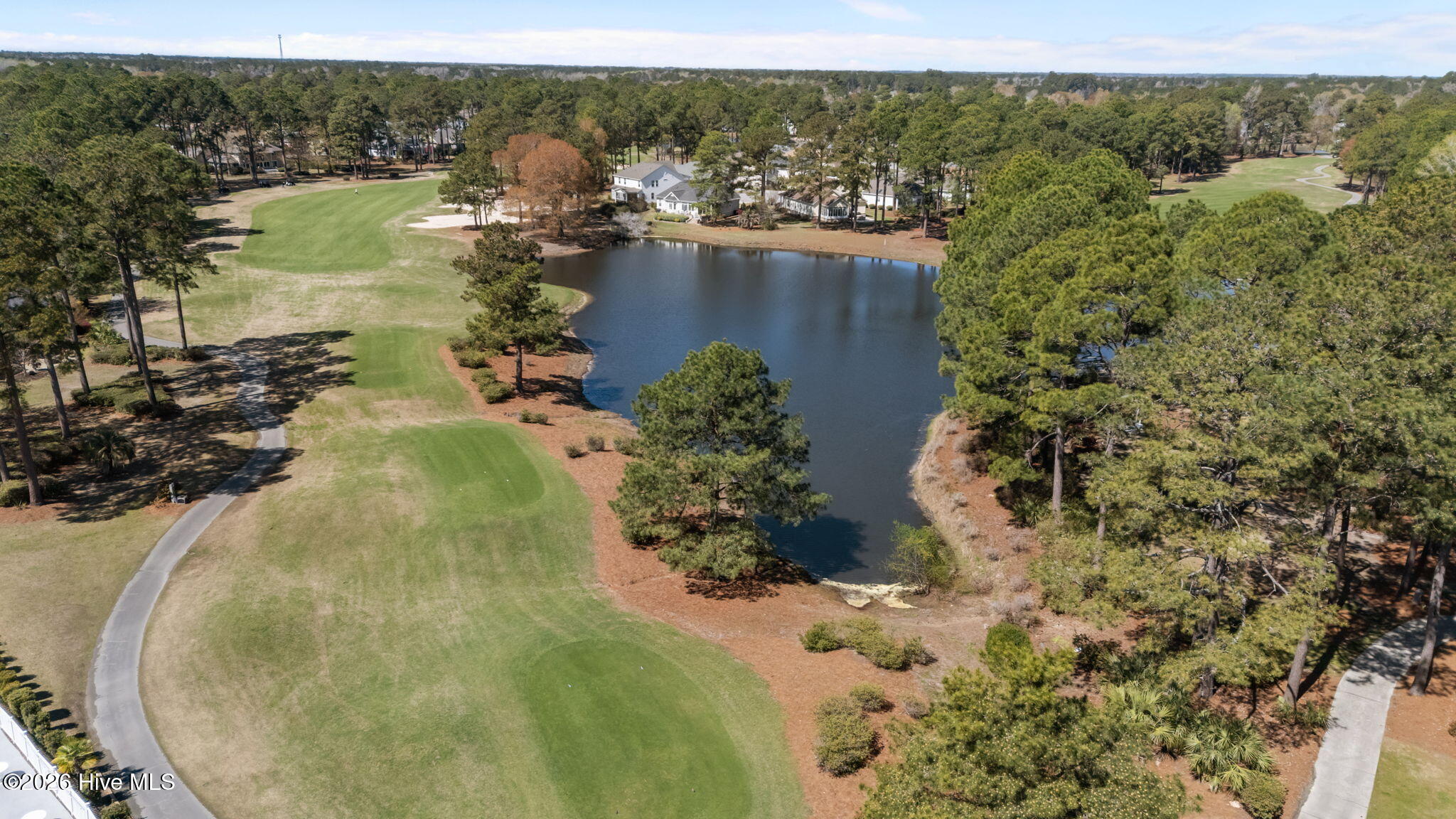 100561049 | Photo 46