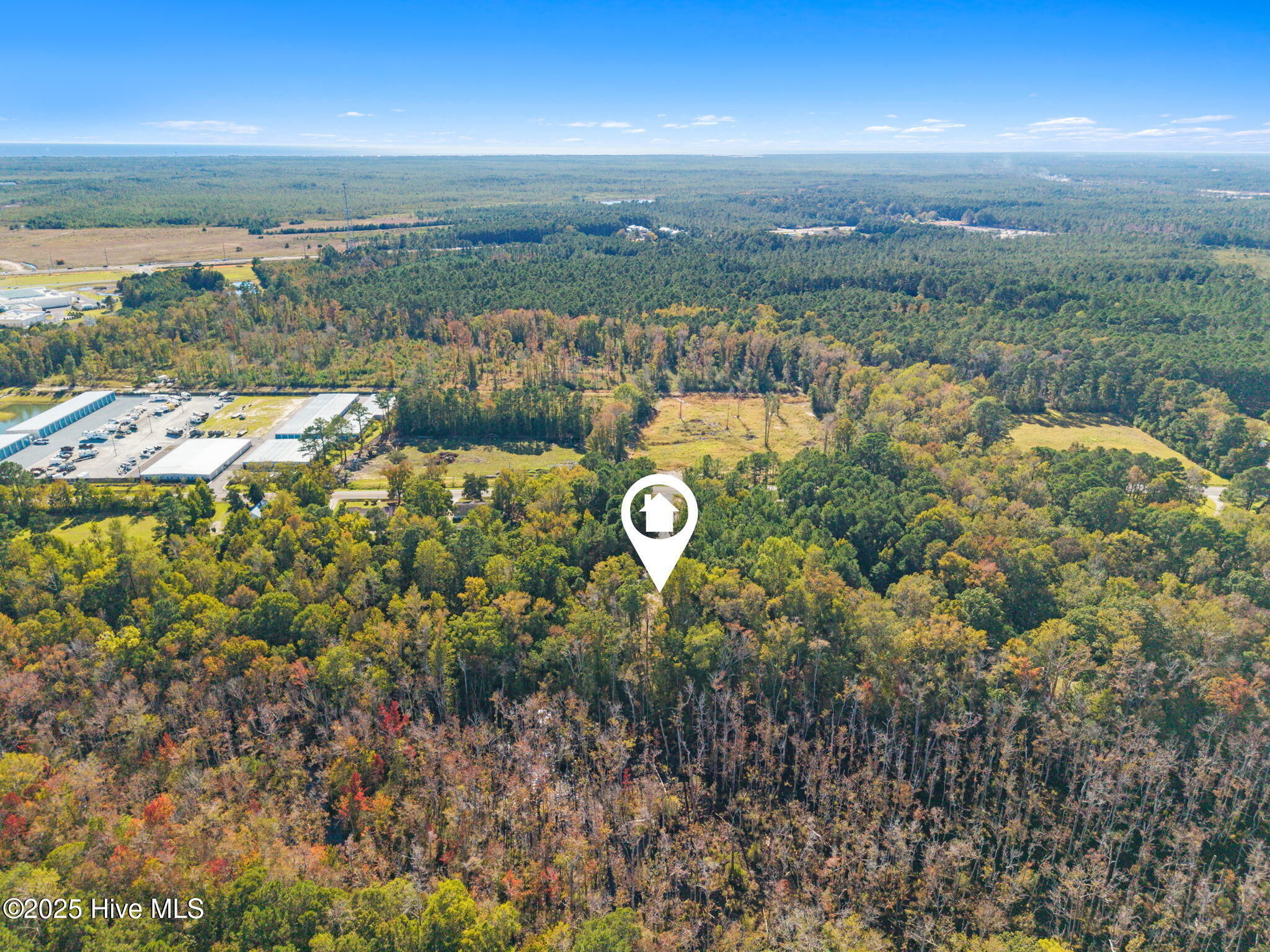 100523359 | Photo 10